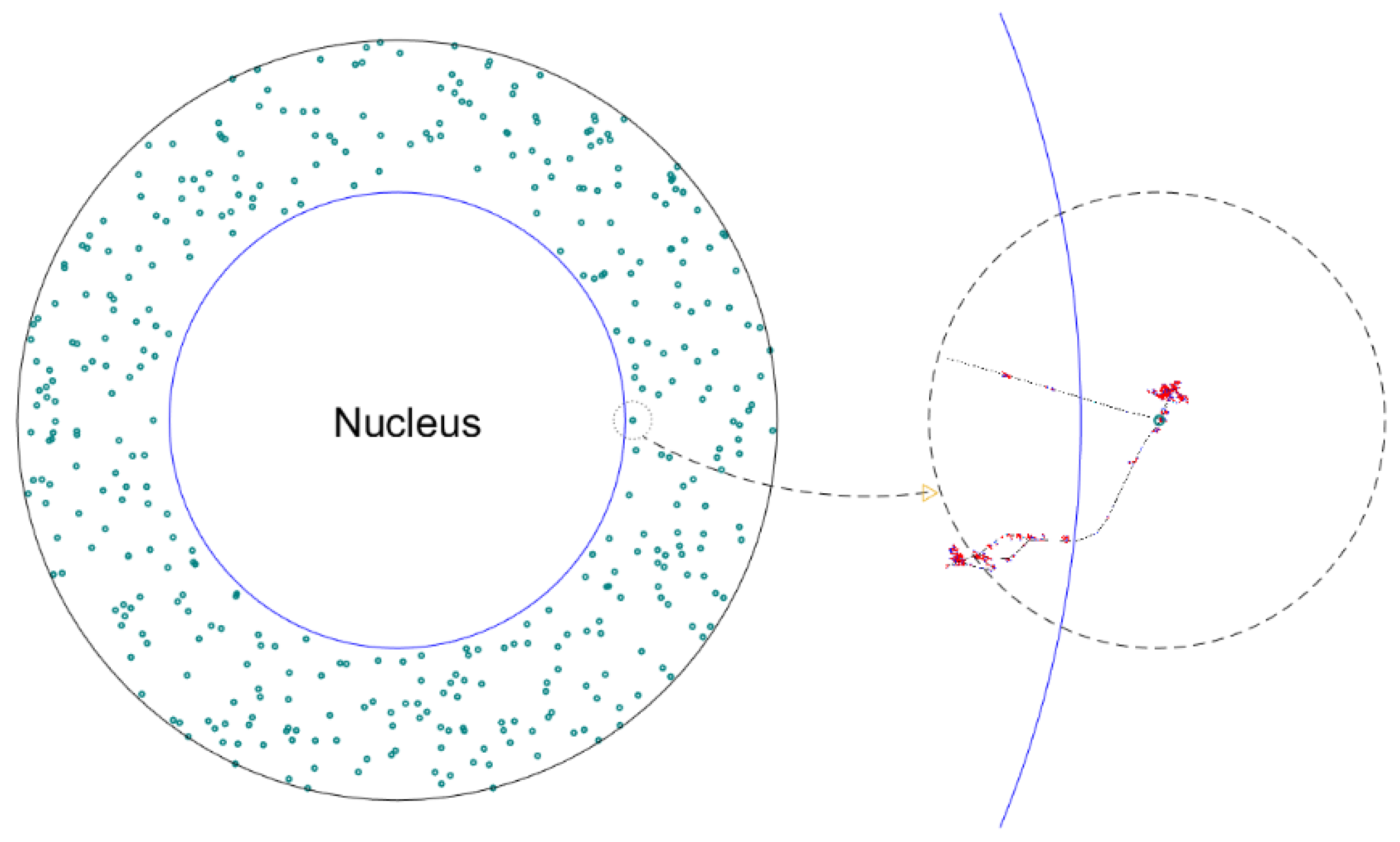 Pharmaceutics 13 02191 g002 Pharmaceutics 13 02191 g002