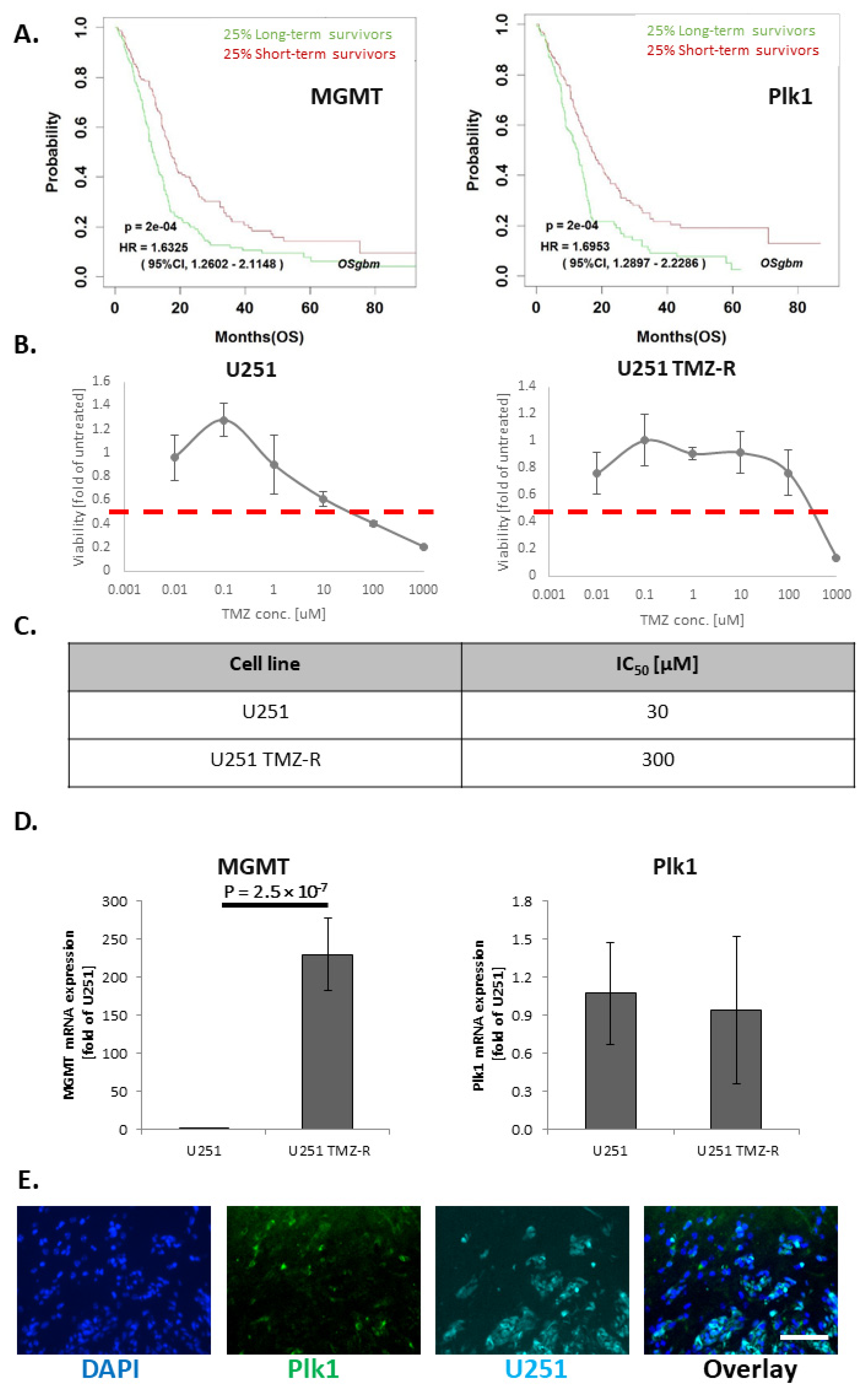 Pharmaceutics 13 02199 g001