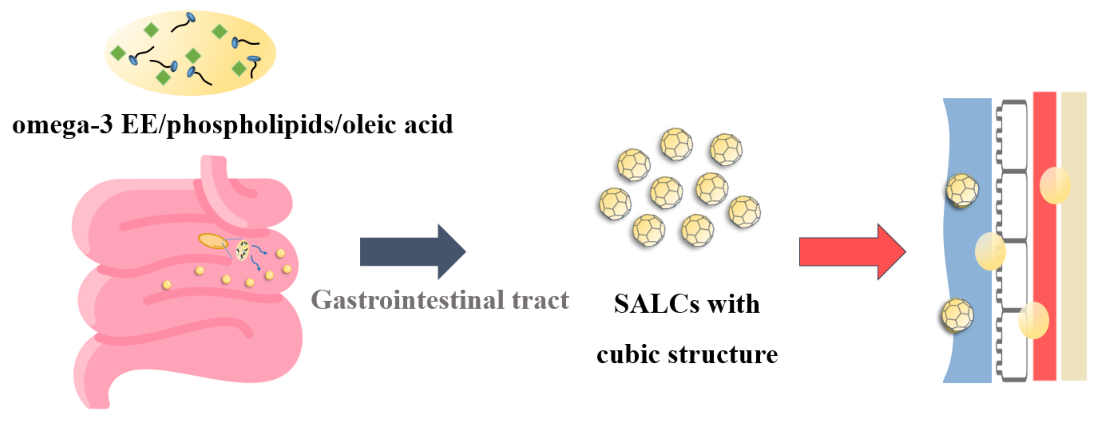 Pharmaceutics | Free Full-Text | Formation of Self-Assembled Liquid  Crystalline Nanoparticles and Absorption Enhancement of &Omega;-3s by  Phospholipids and Oleic Acids