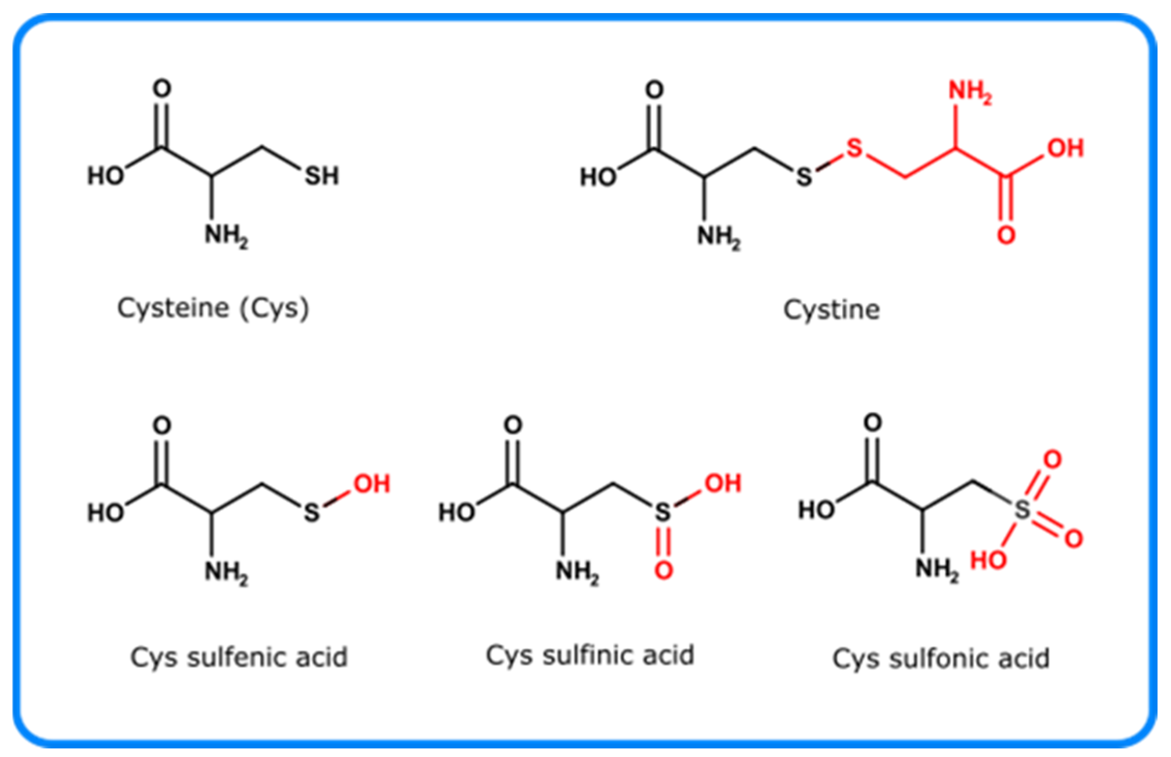 Pharmaceutics 14 00072 g005