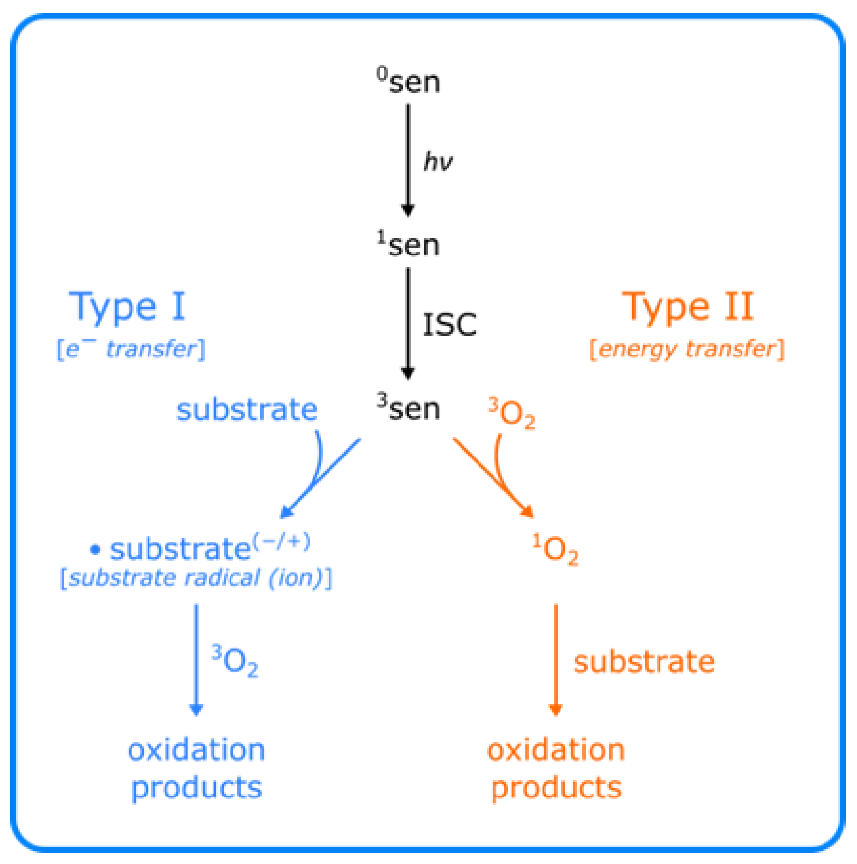 Pharmaceutics 14 00072 sch001