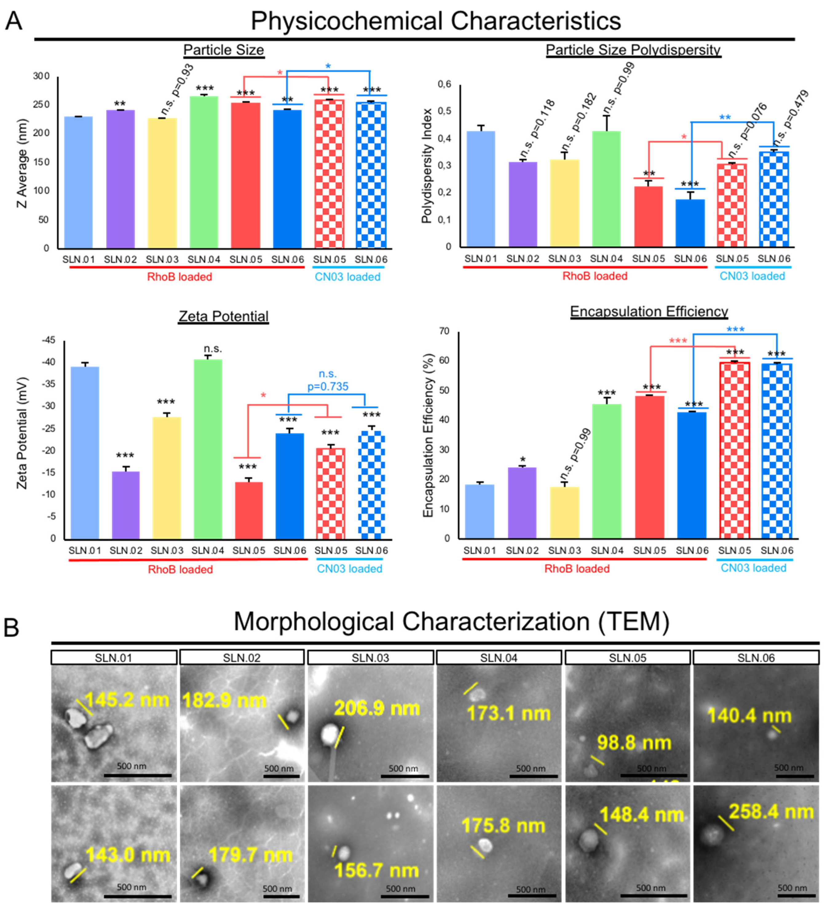 Pharmaceutics 14 00074 g002