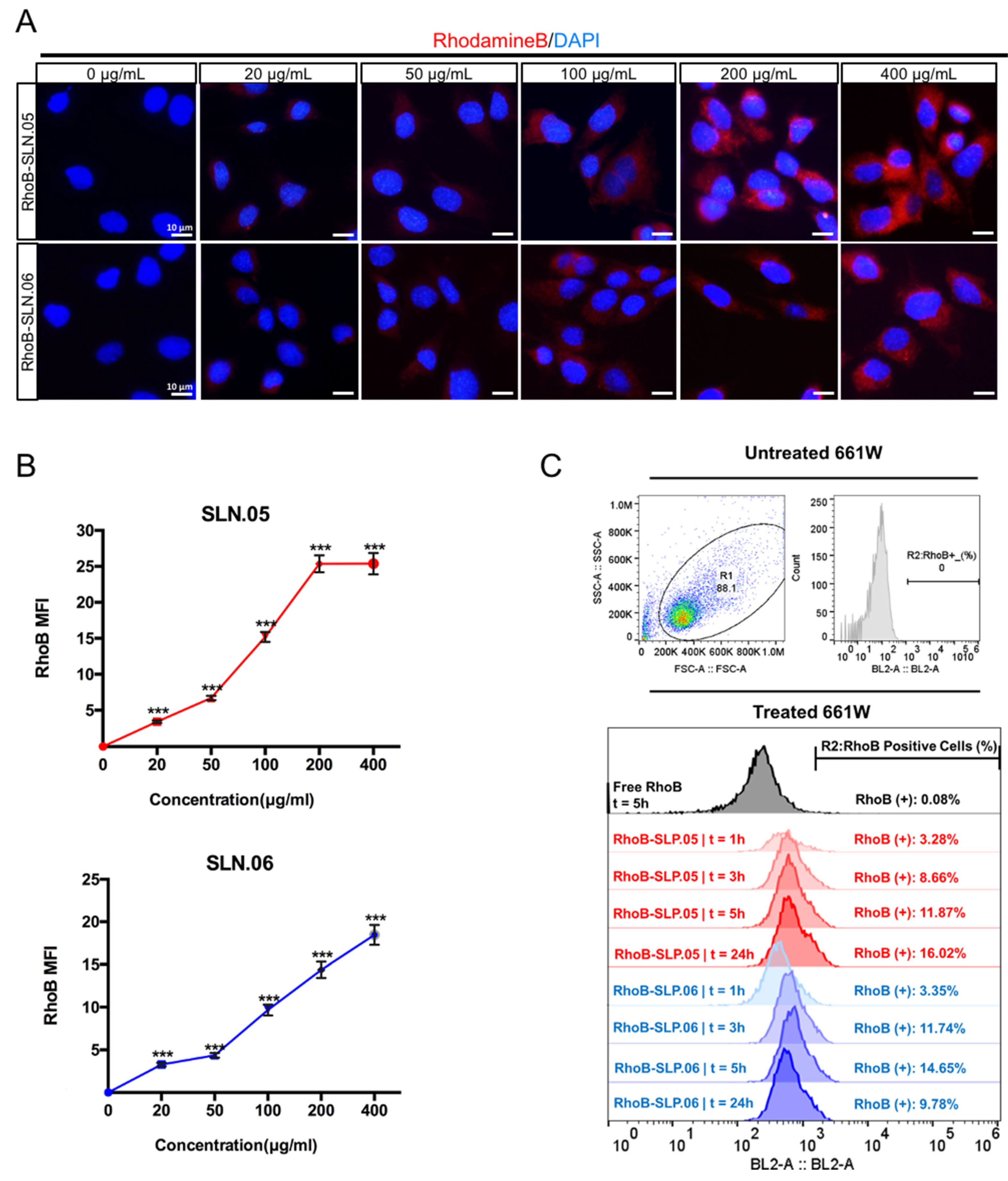 Pharmaceutics 14 00074 g005