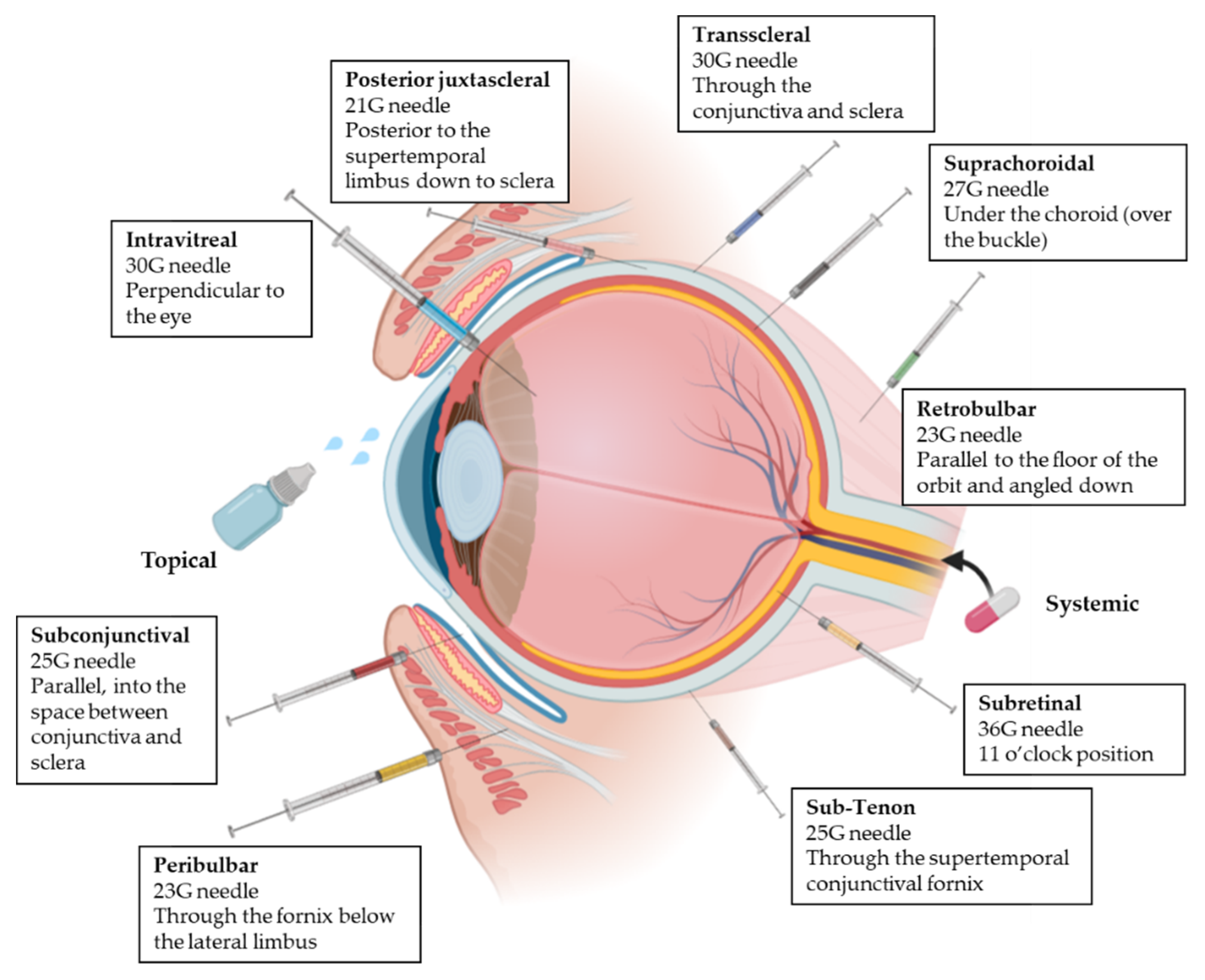 Eye (Ocular) Cancer > Fact Sheets > Yale Medicine