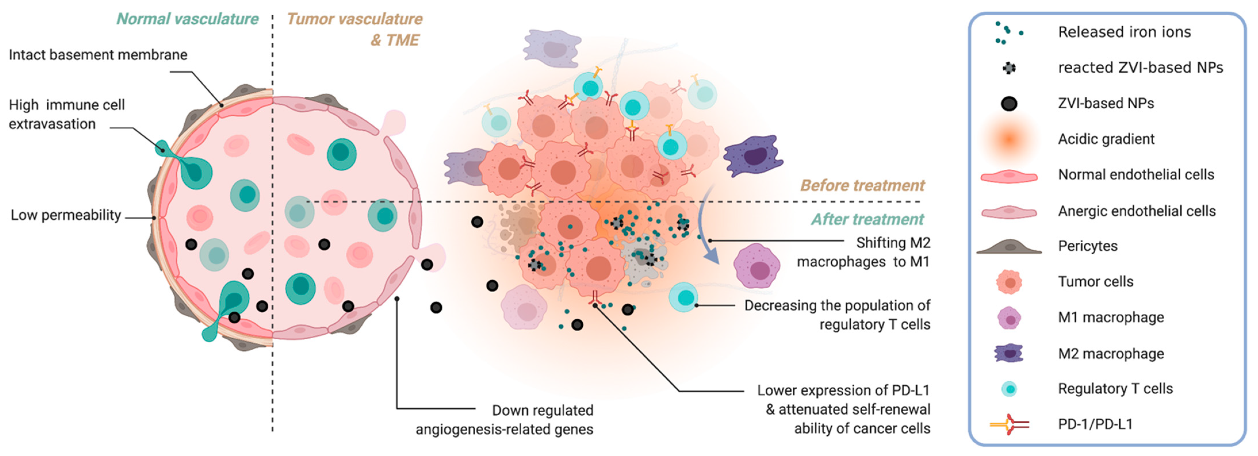Pharmaceutics 14 00099 g002