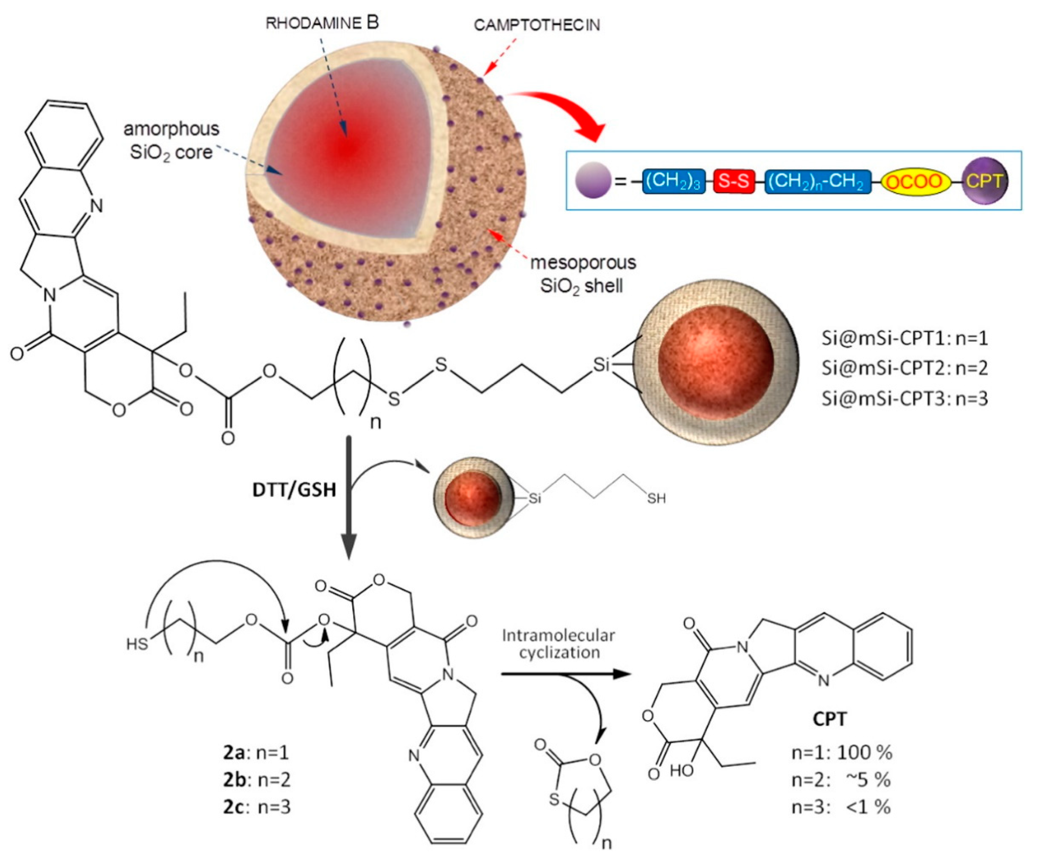 Pharmaceutics 14 00110 g003