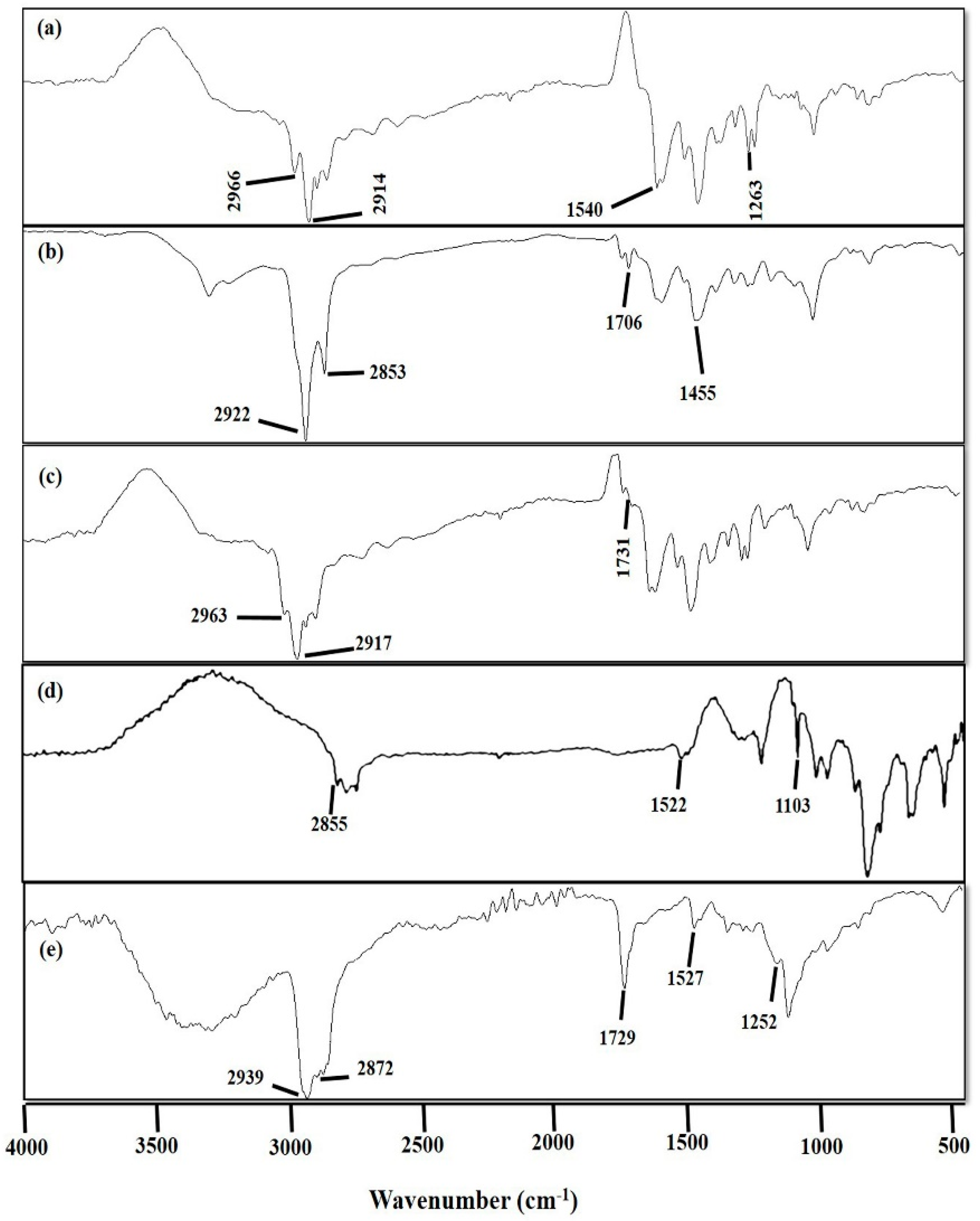 Pharmaceutics 14 00129 g002