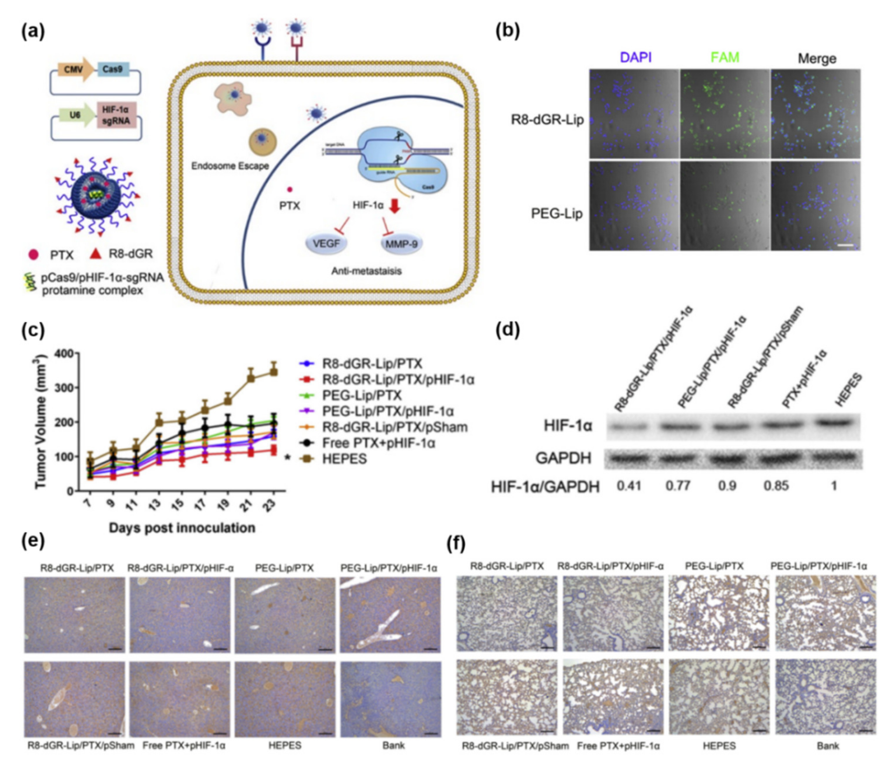 Pharmaceutics 14 00137 g002
