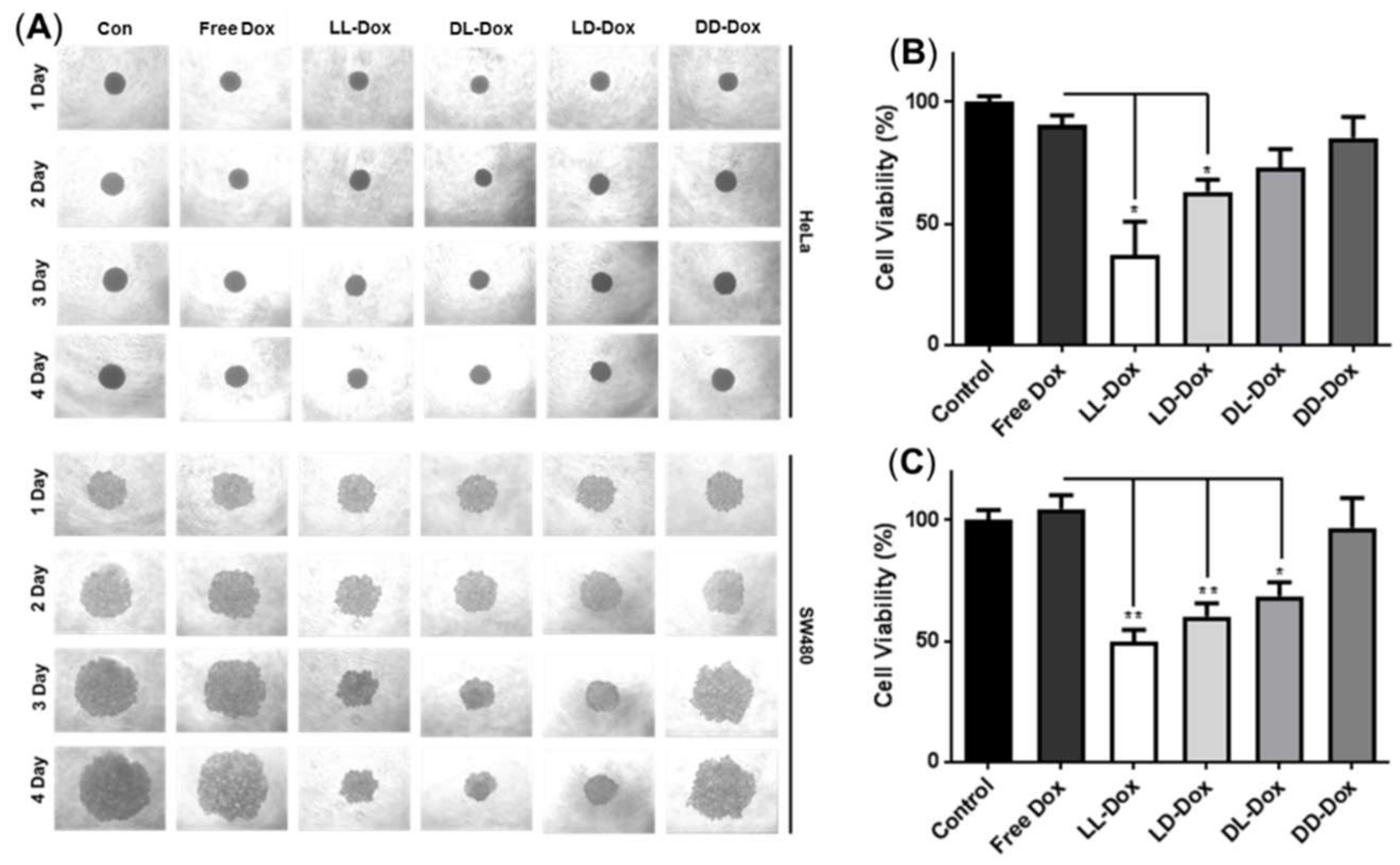Pharmaceutics 14 00143 g009 Pharmaceutics 14 00143 g009