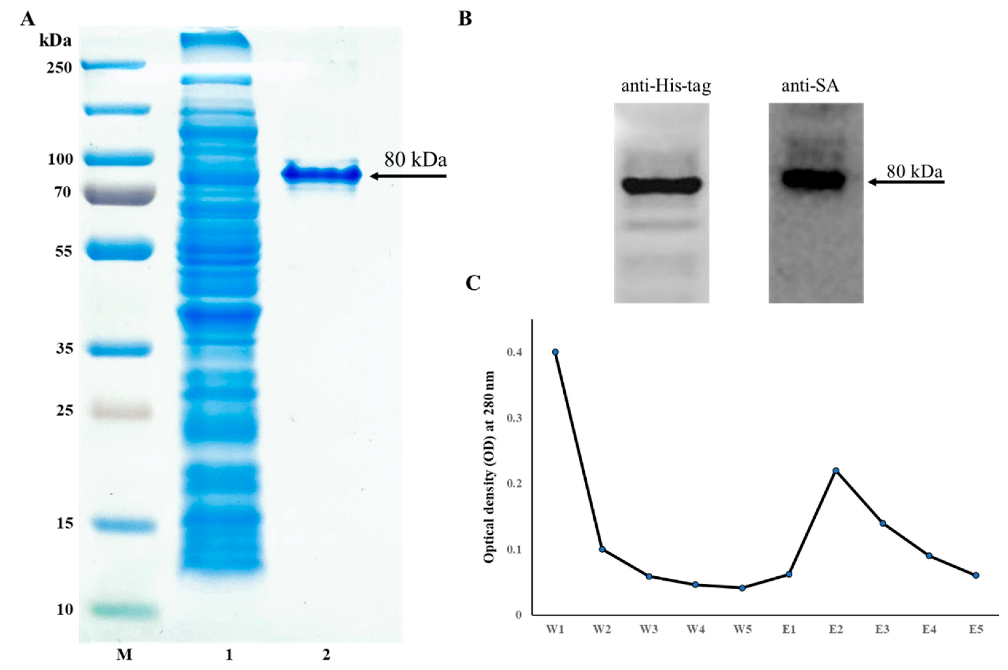 Pharmaceutics 14 00144 g003