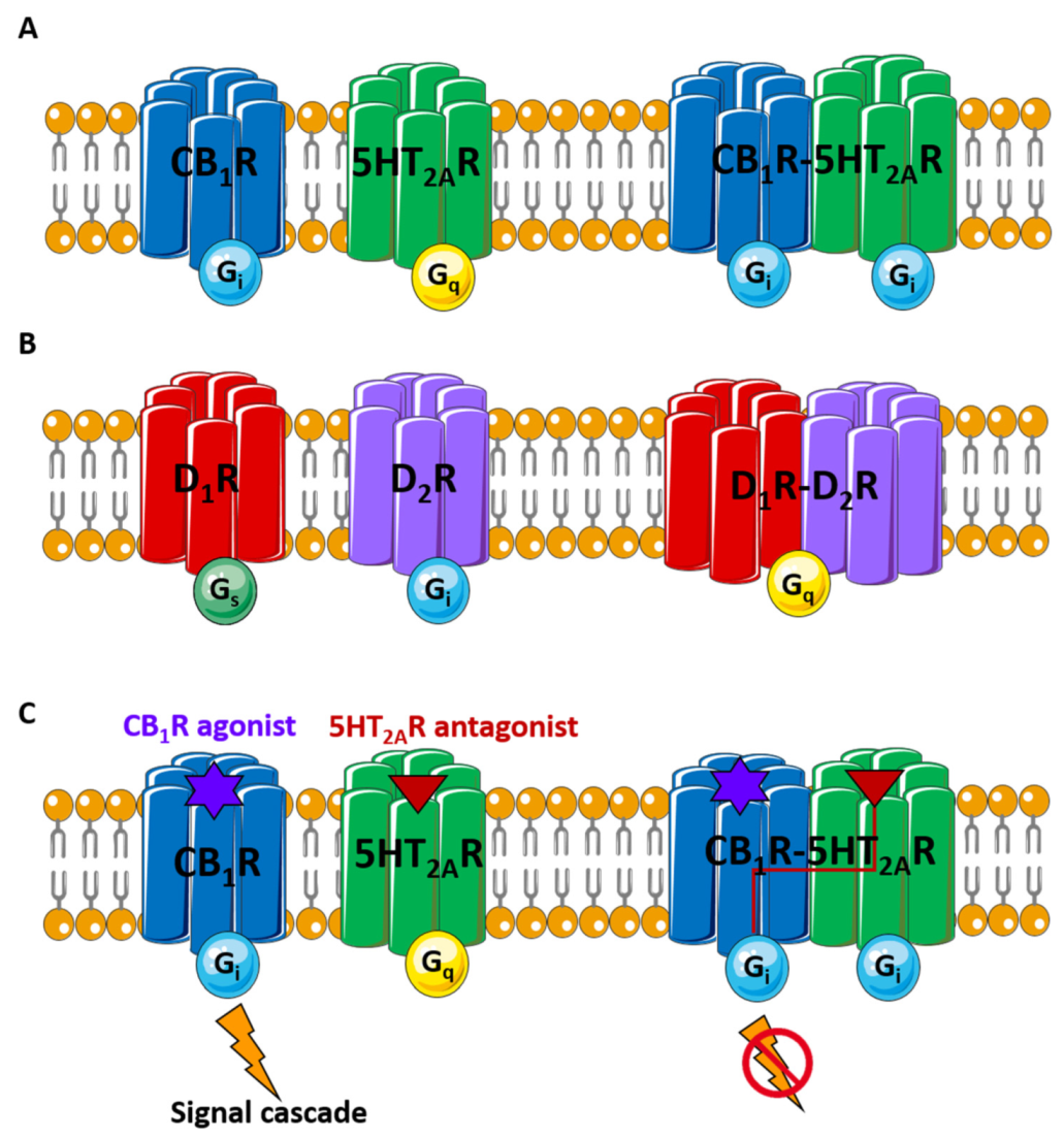 Pharmaceutics 14 00161 g001