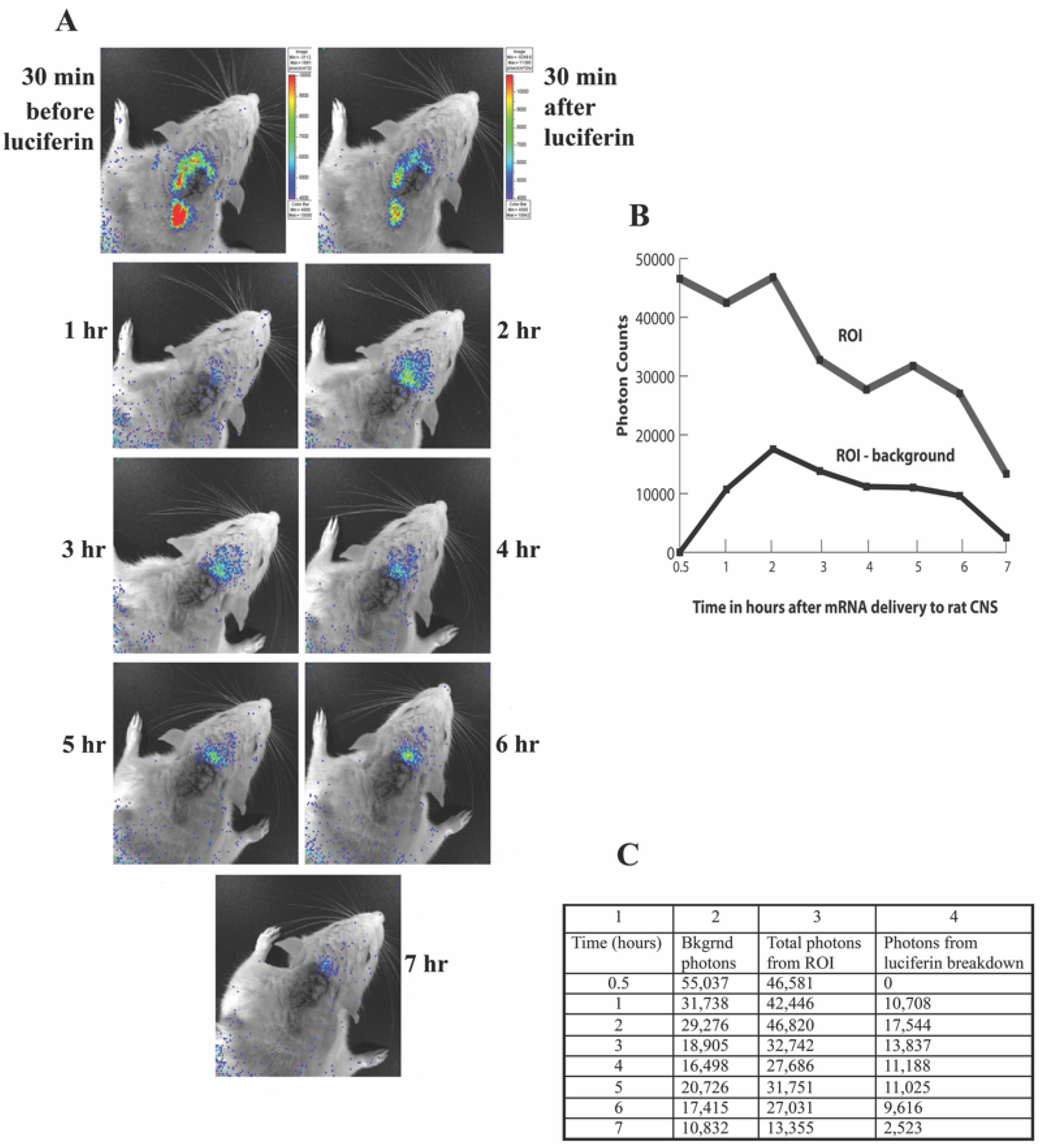 Pharmaceutics | Free Full-Text | Non-Viral Delivery of RNA Gene 