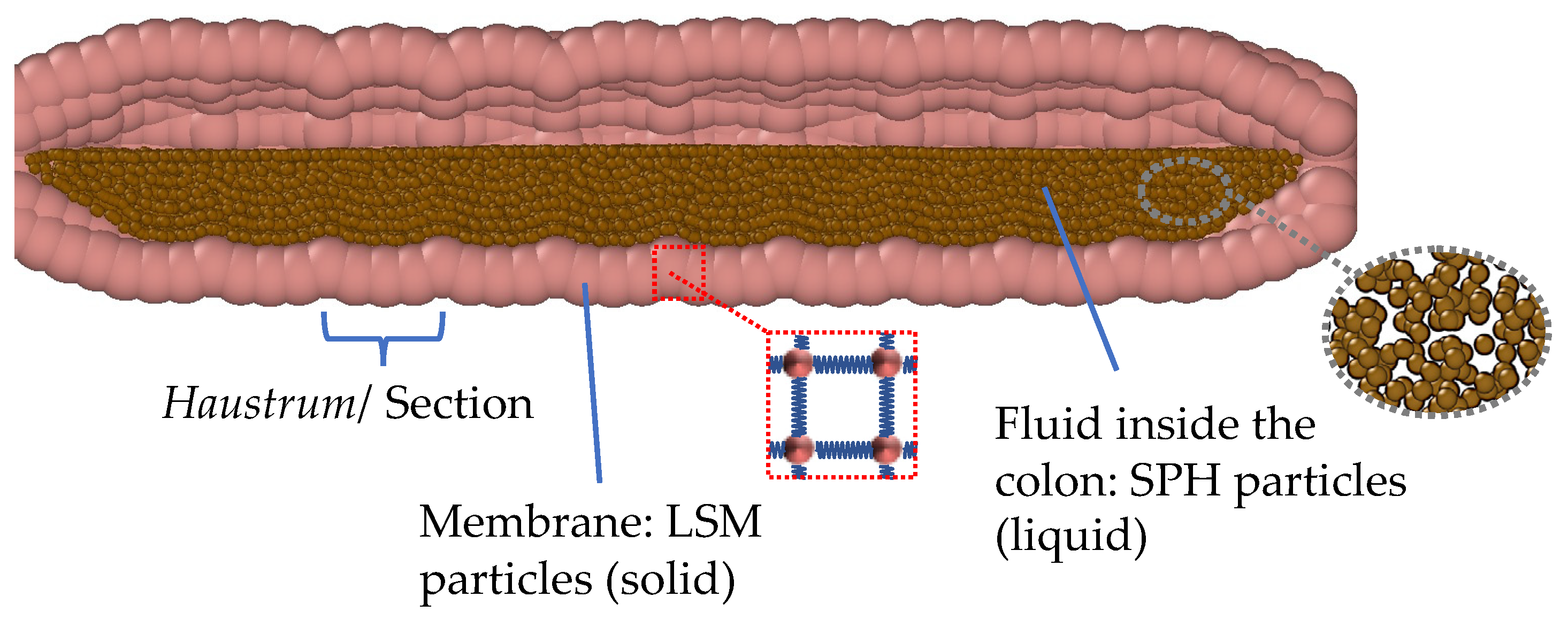 Pharmaceutics 14 00184 g003