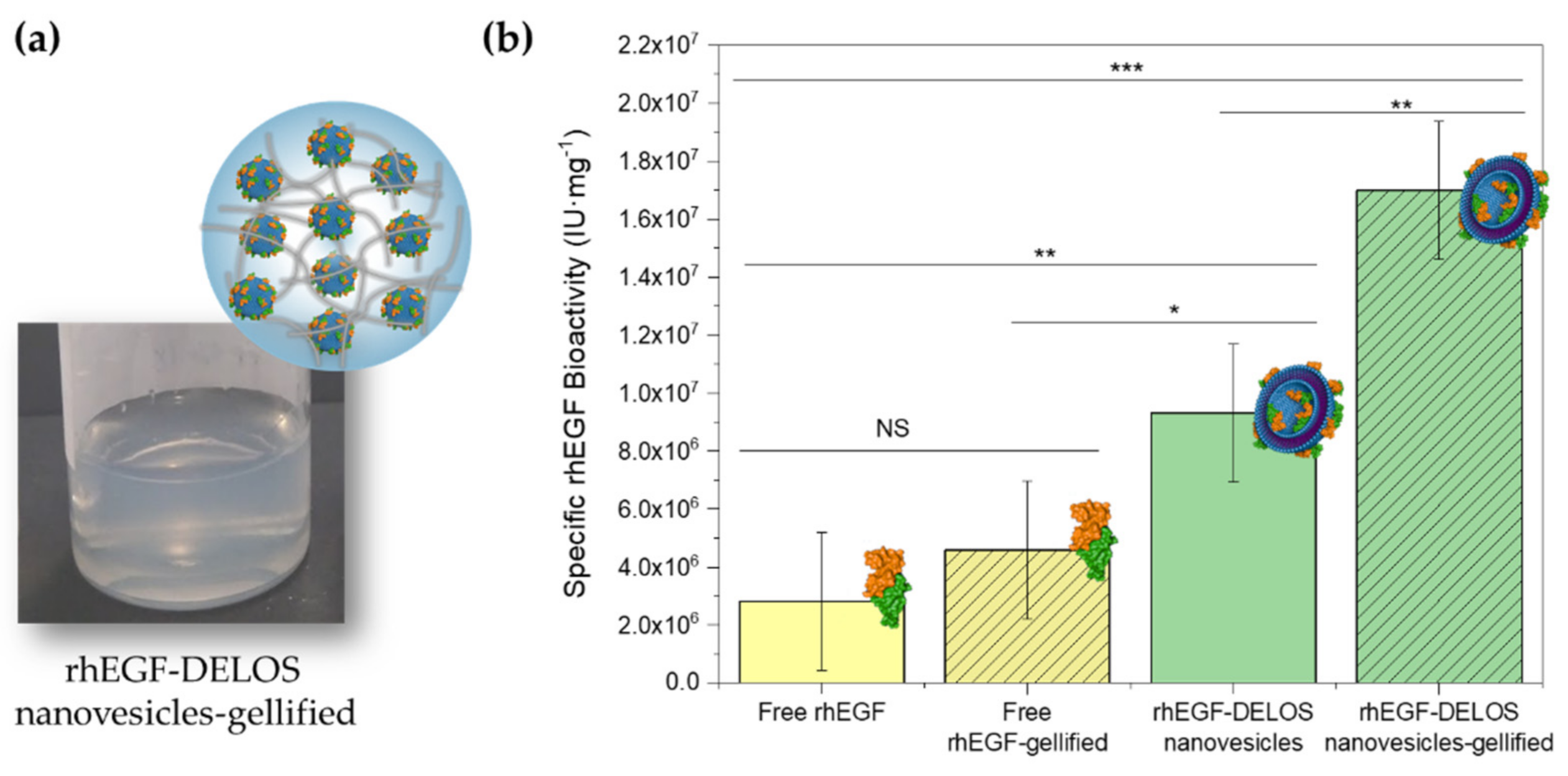 Pharmaceutics 14 00199 g008