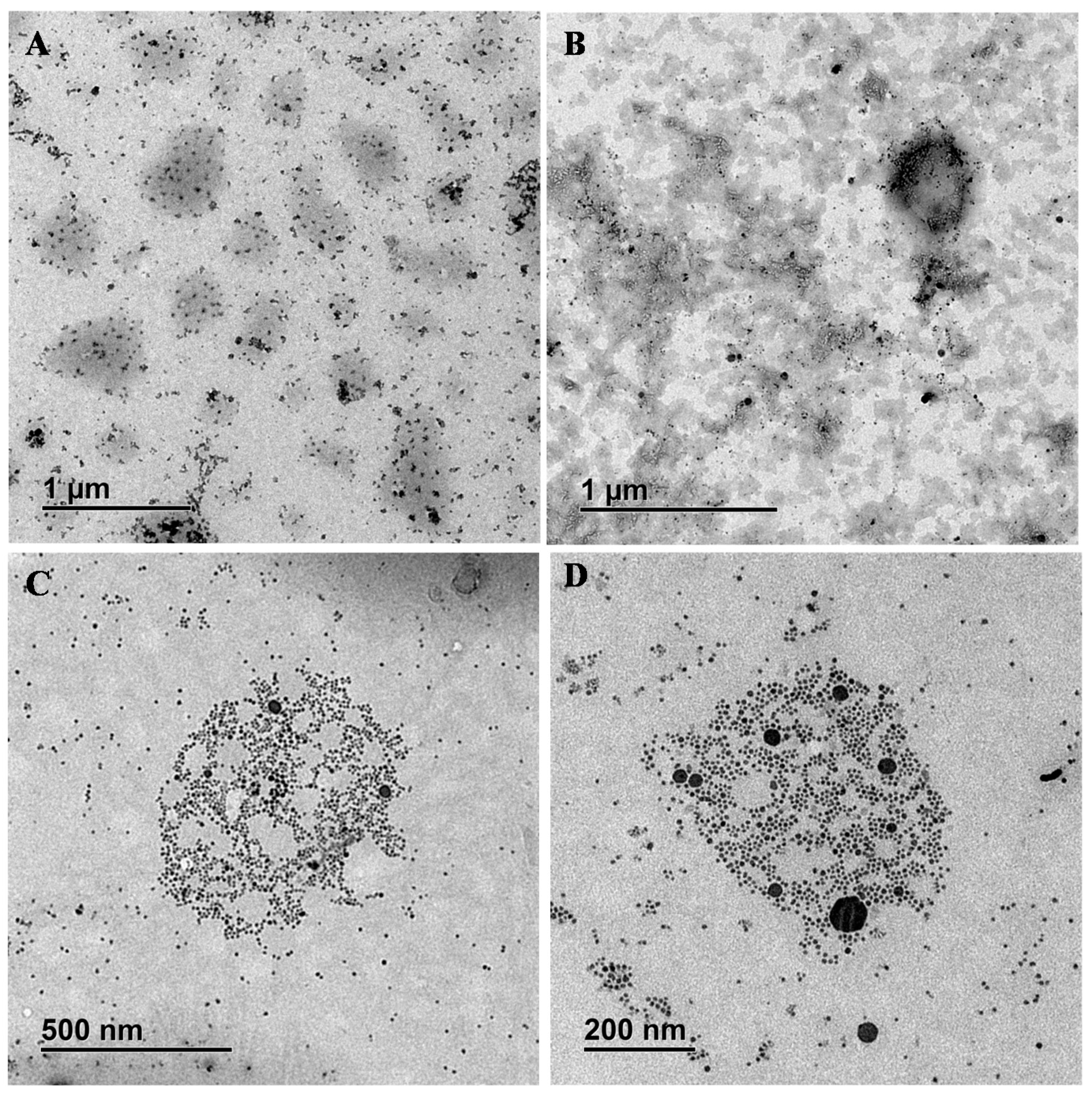 Pharmaceutics 14 00214 g004