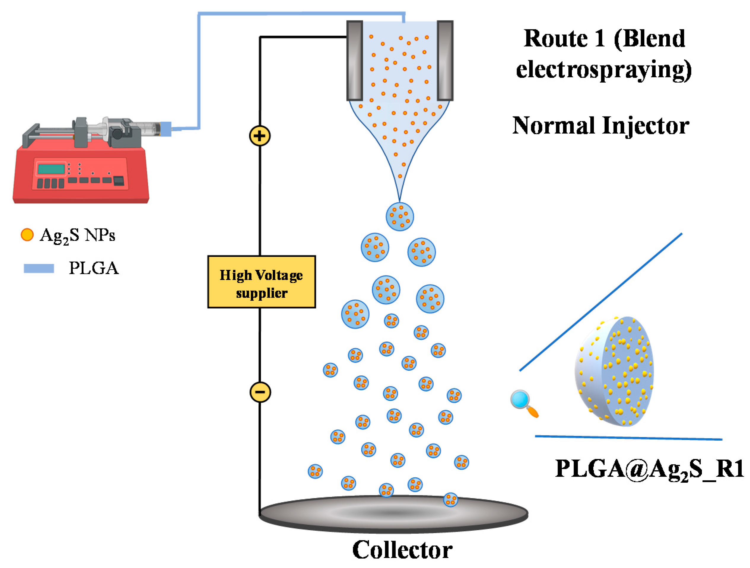 Pharmaceutics 14 00214 sch001