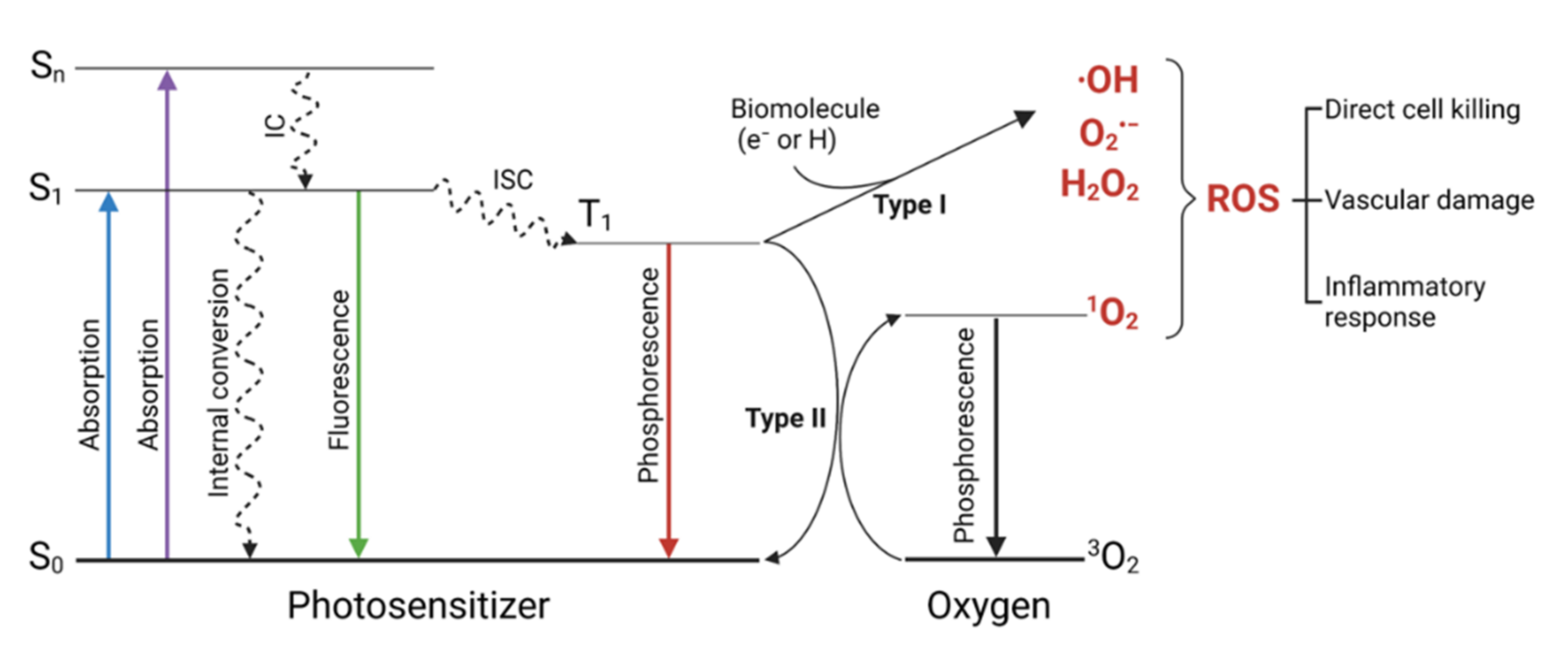 Self-Assembling VHH-Elastin-Like Peptides for Photodynamic Nanomedicine