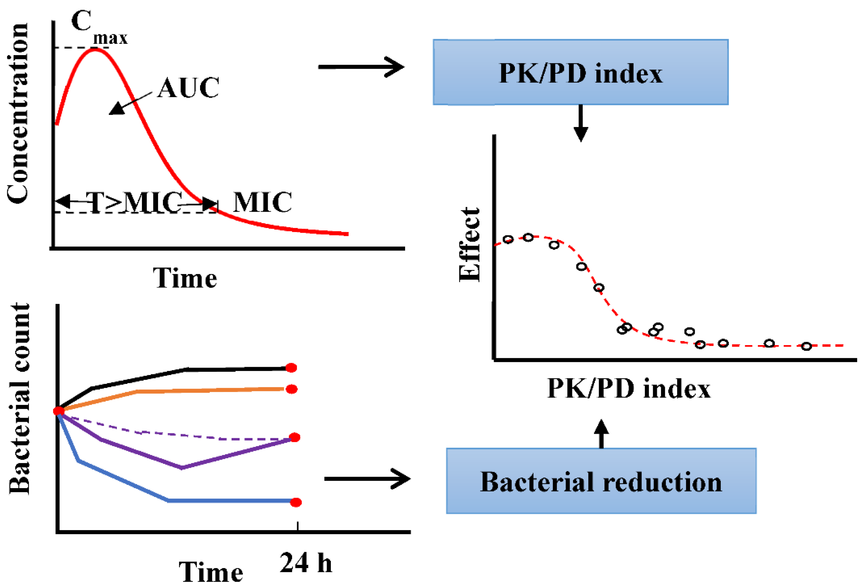 pharmaceutics-free-full-text-application-of-semi-mechanistic-pharmacokinetic-and