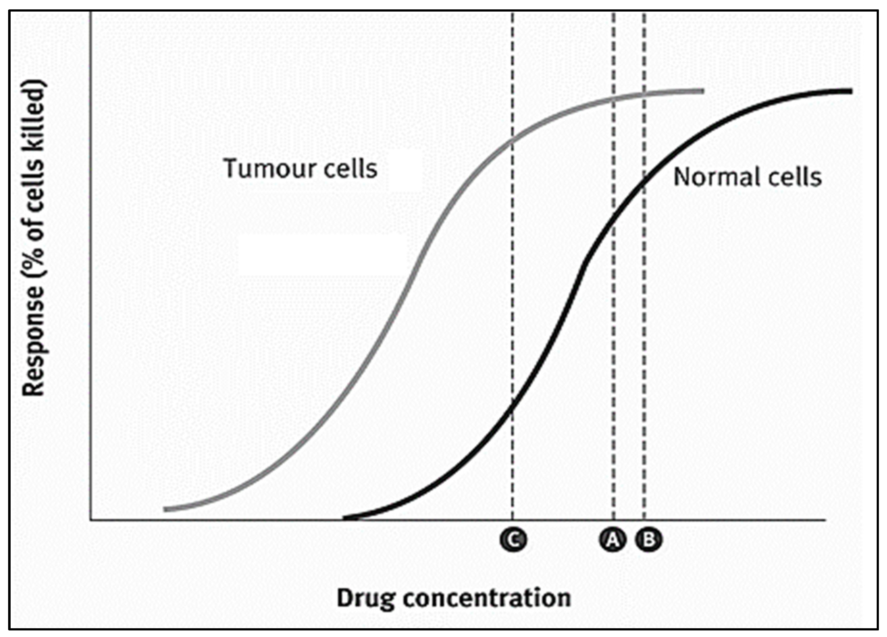 Pharmaceutics 14 00254 g002