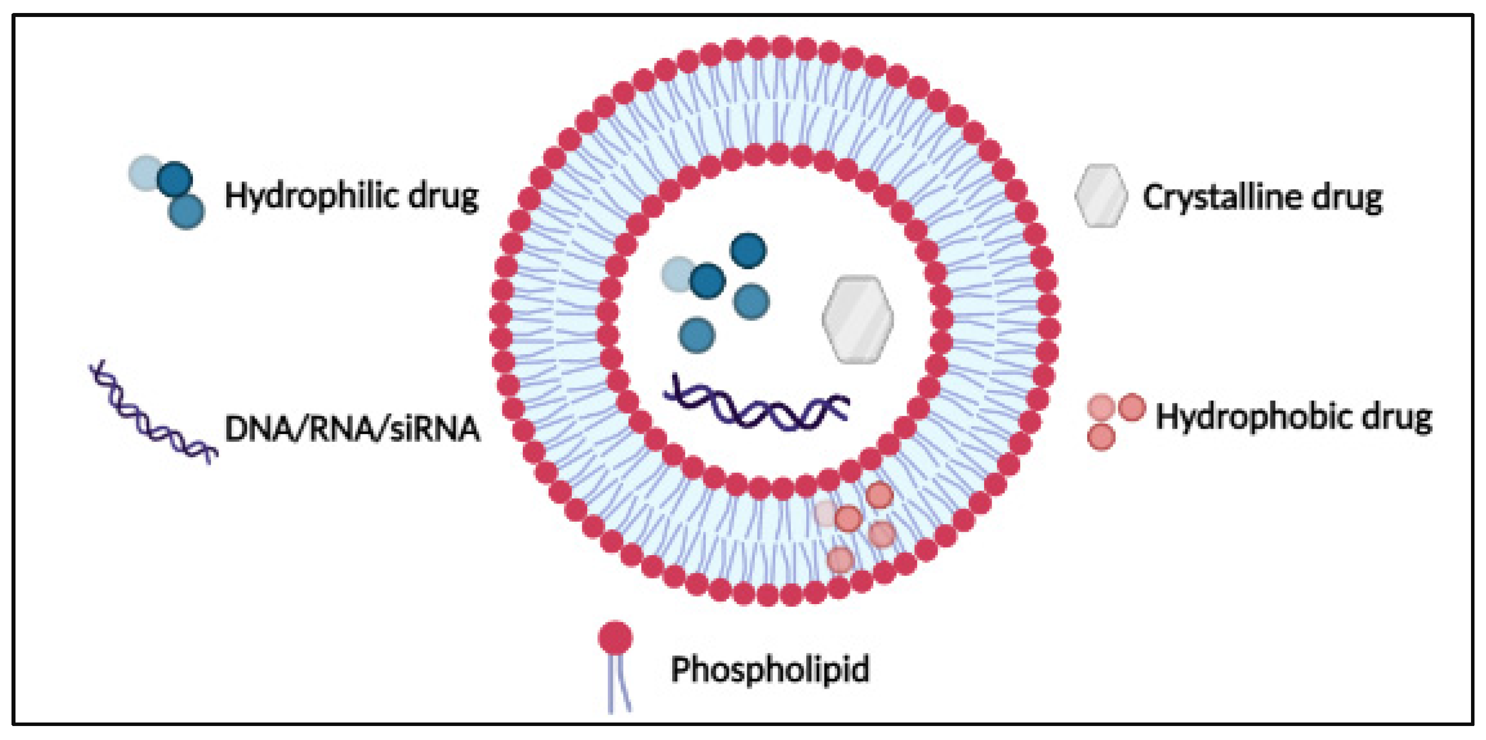 Pharmaceutics 14 00254 g004