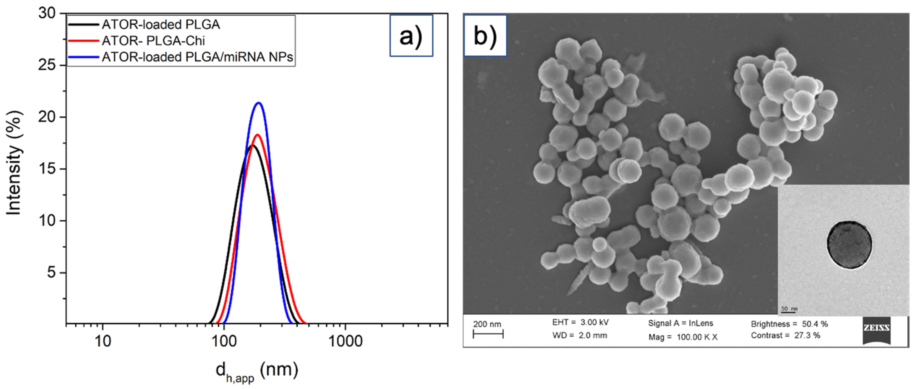 Pharmaceutics 14 00258 g001