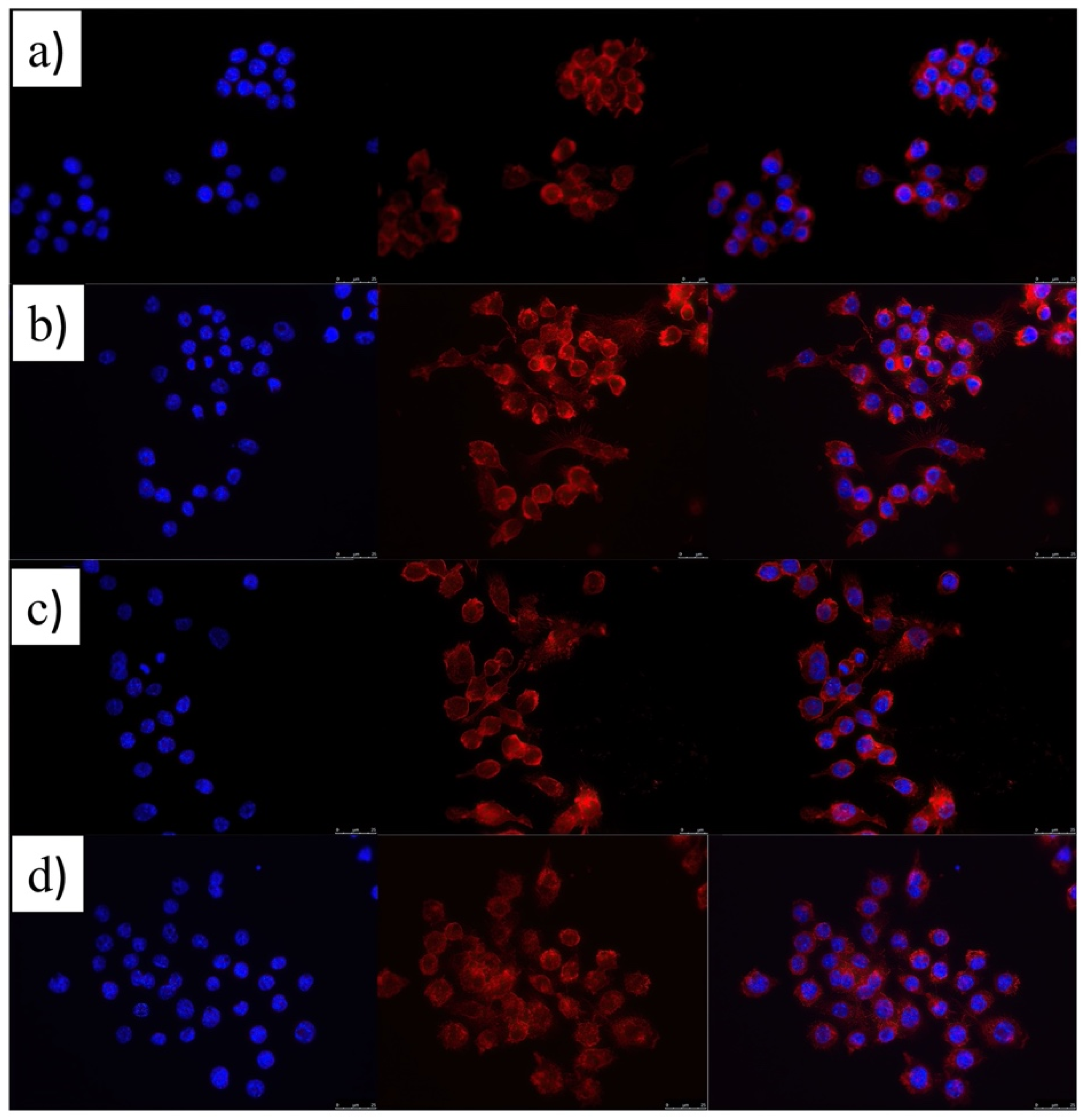 Pharmaceutics 14 00258 g004