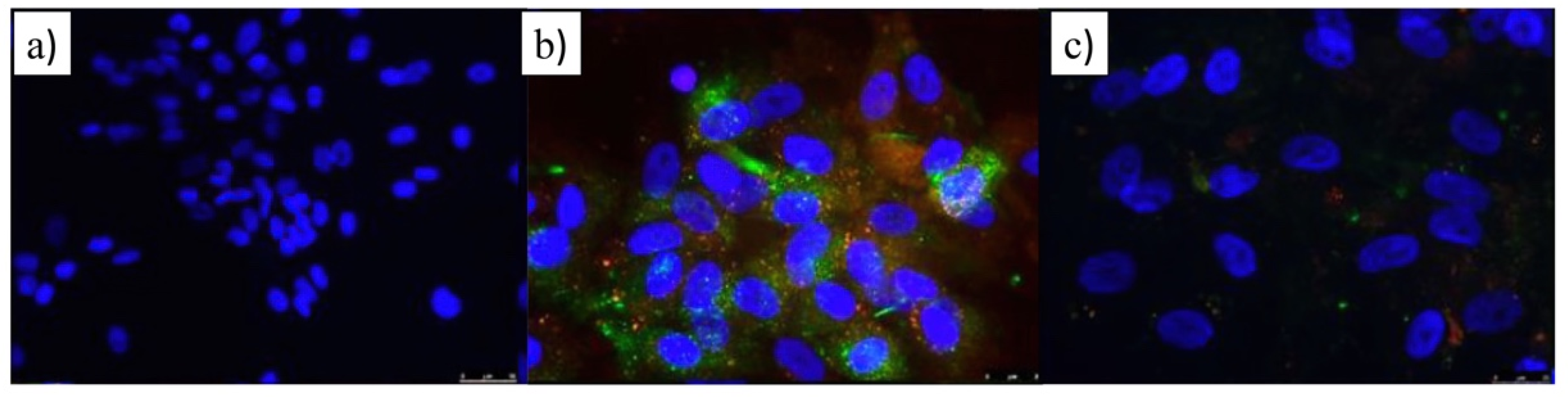 Pharmaceutics 14 00258 g006