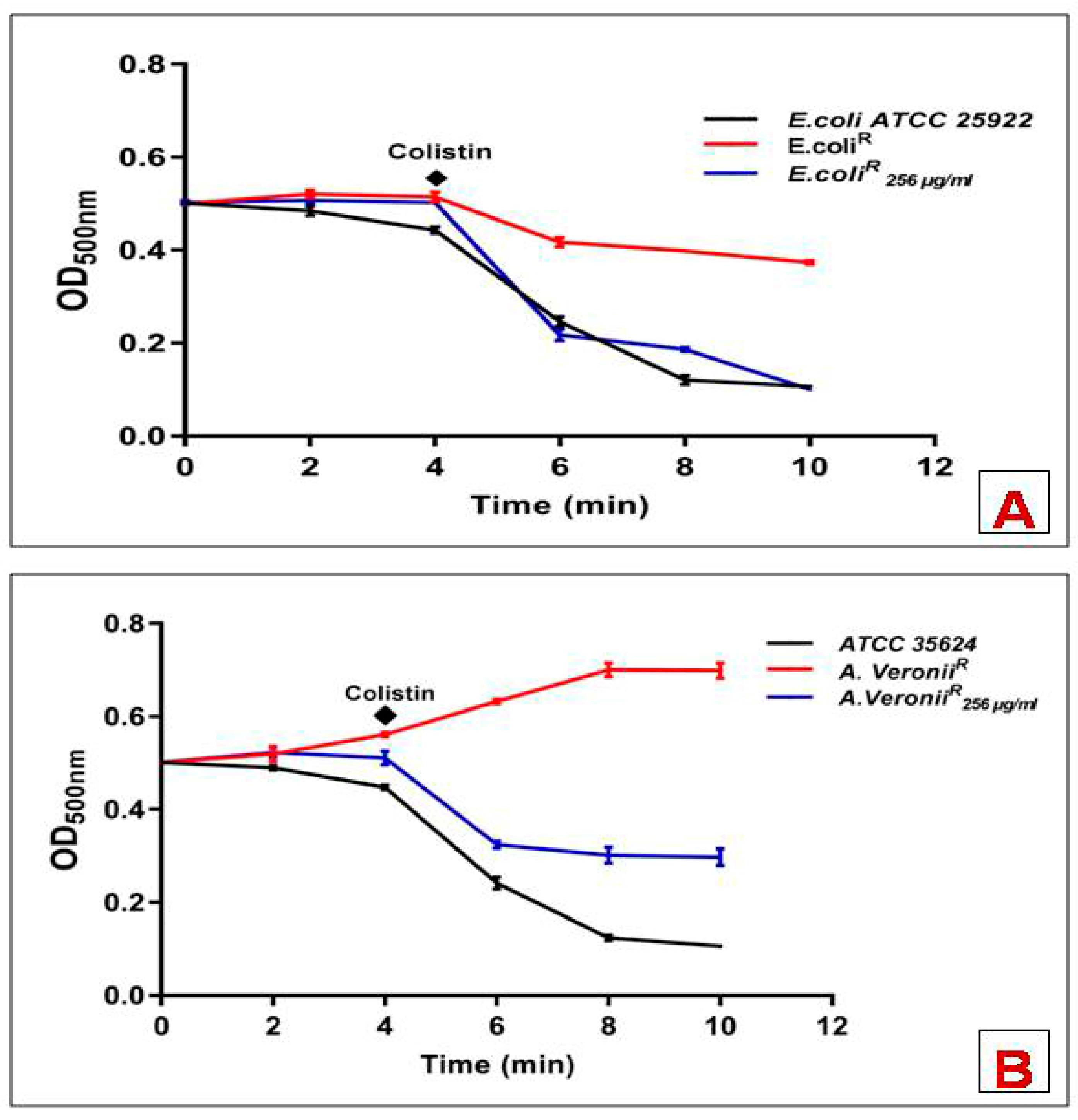 Pharmaceutics 14 00295 g002