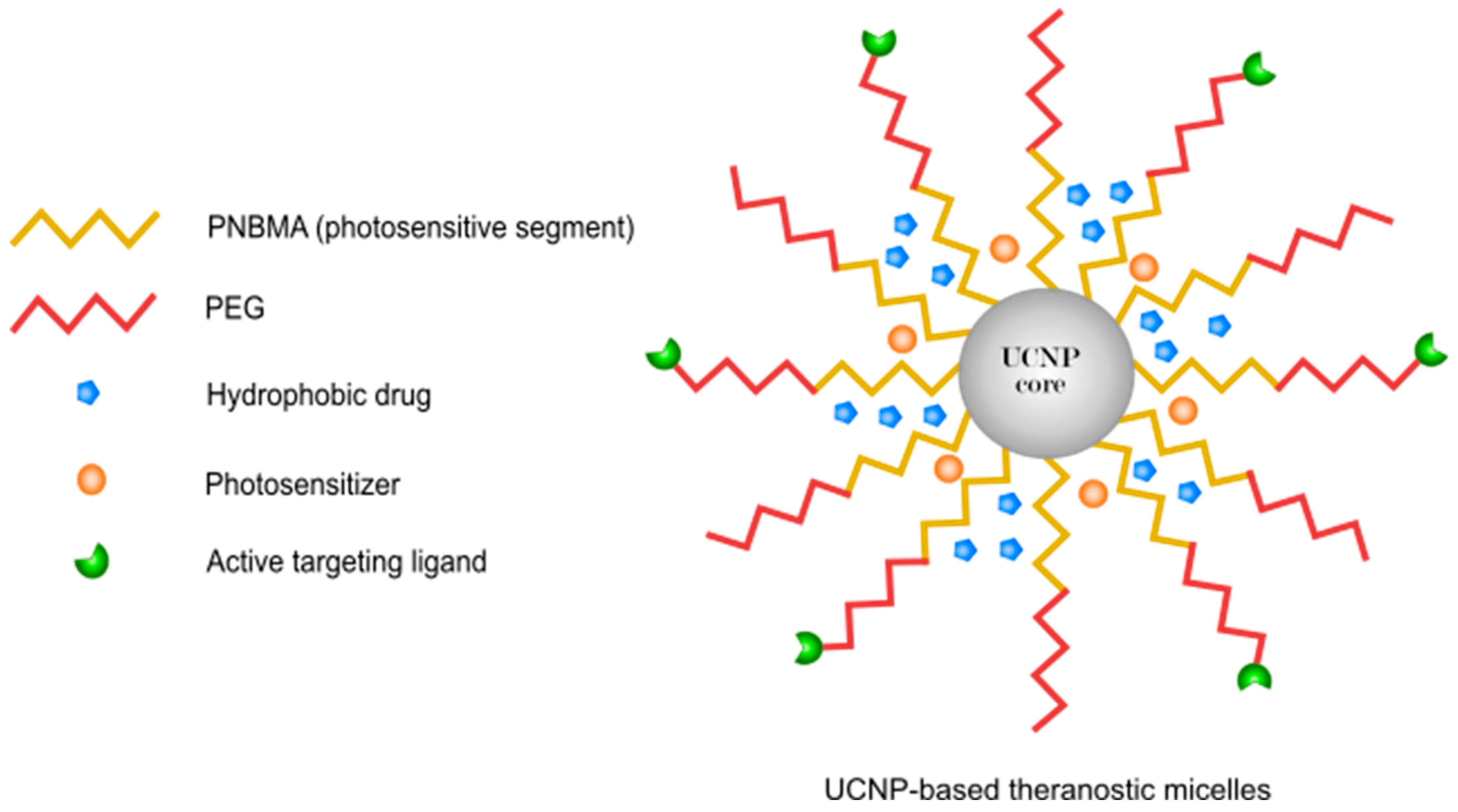 Pharmaceutics 14 00322 g005