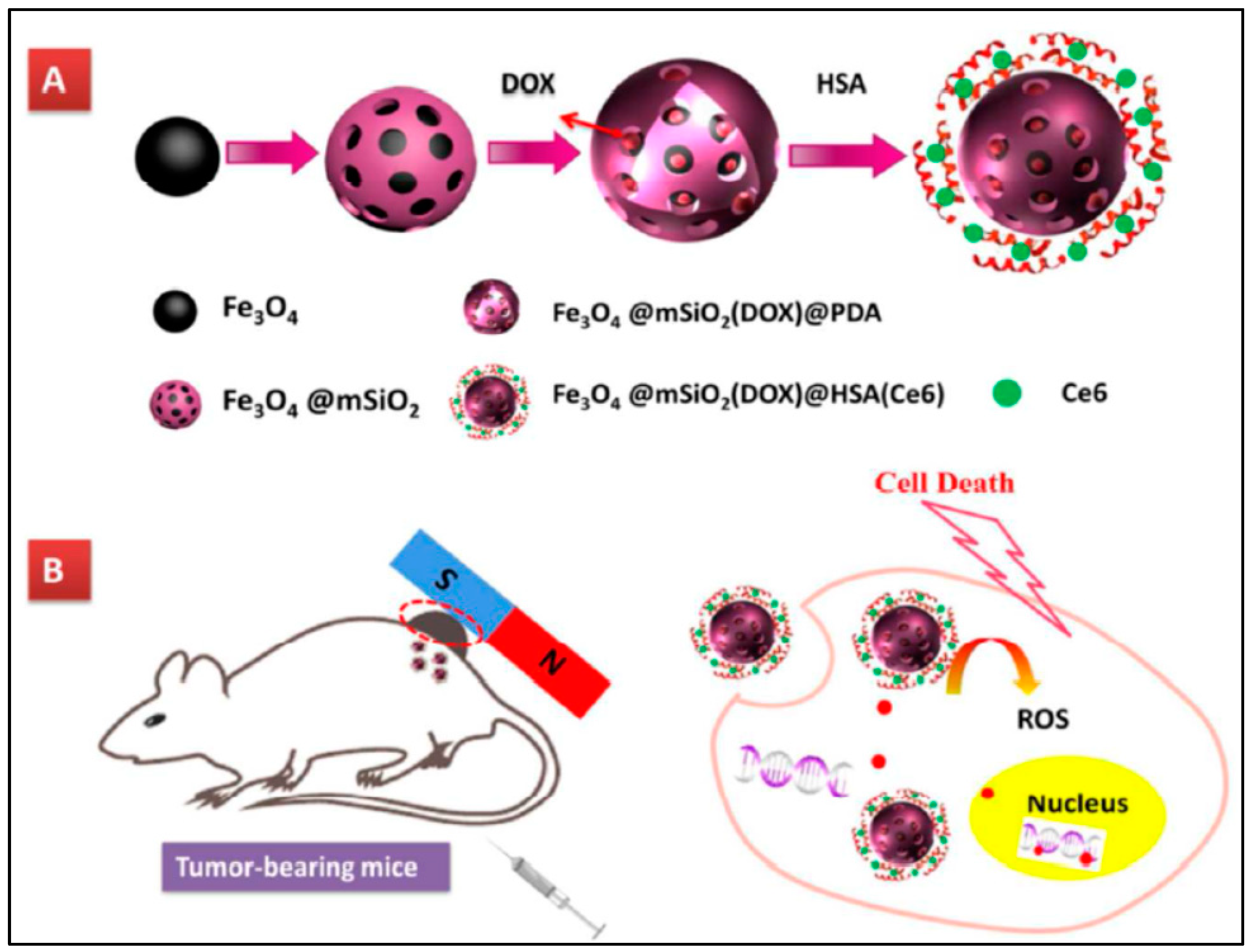 Pharmaceutics 14 00322 g007