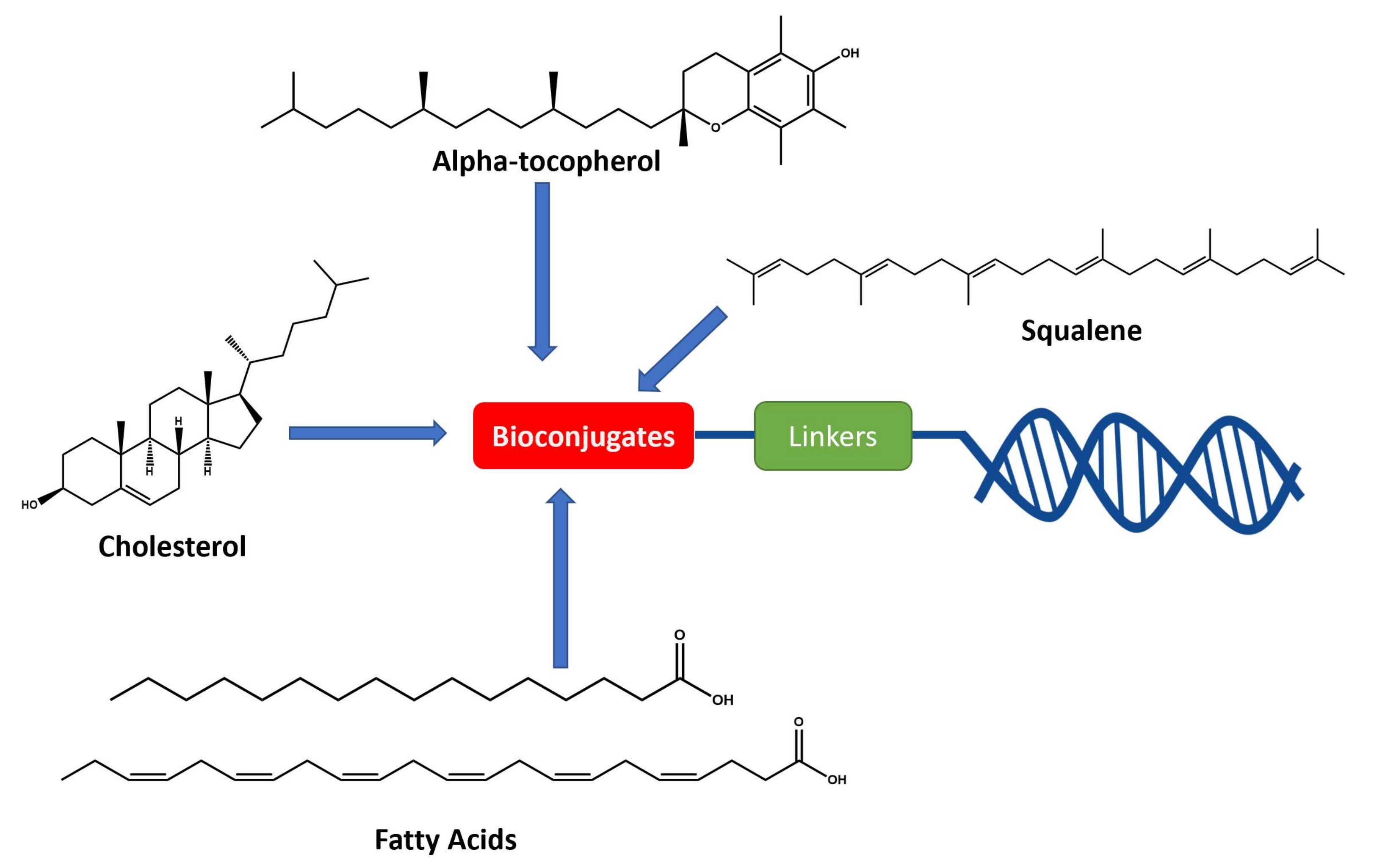 Pharmaceutics 14 00342 g006