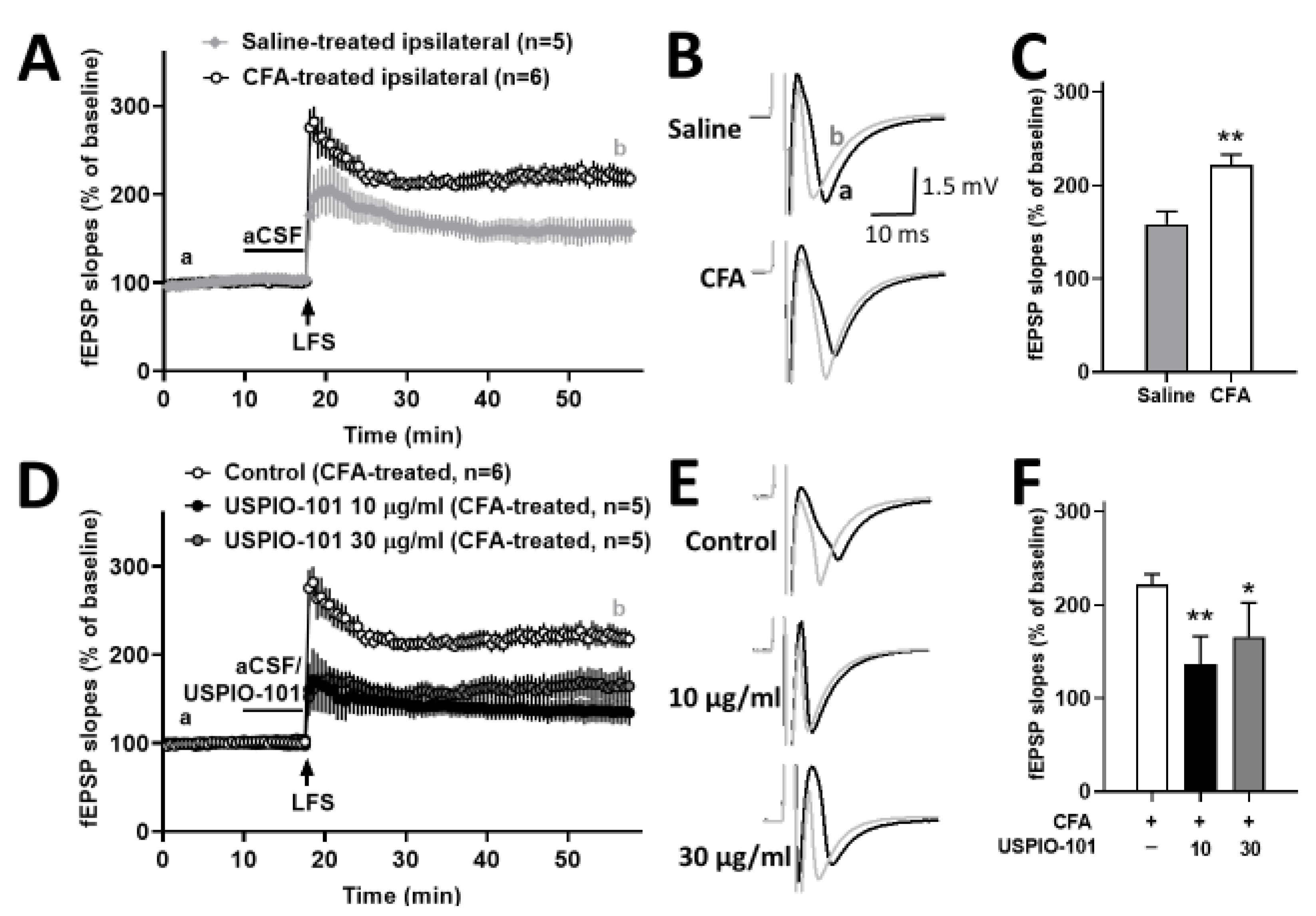 Pharmaceutics 14 00366 g003