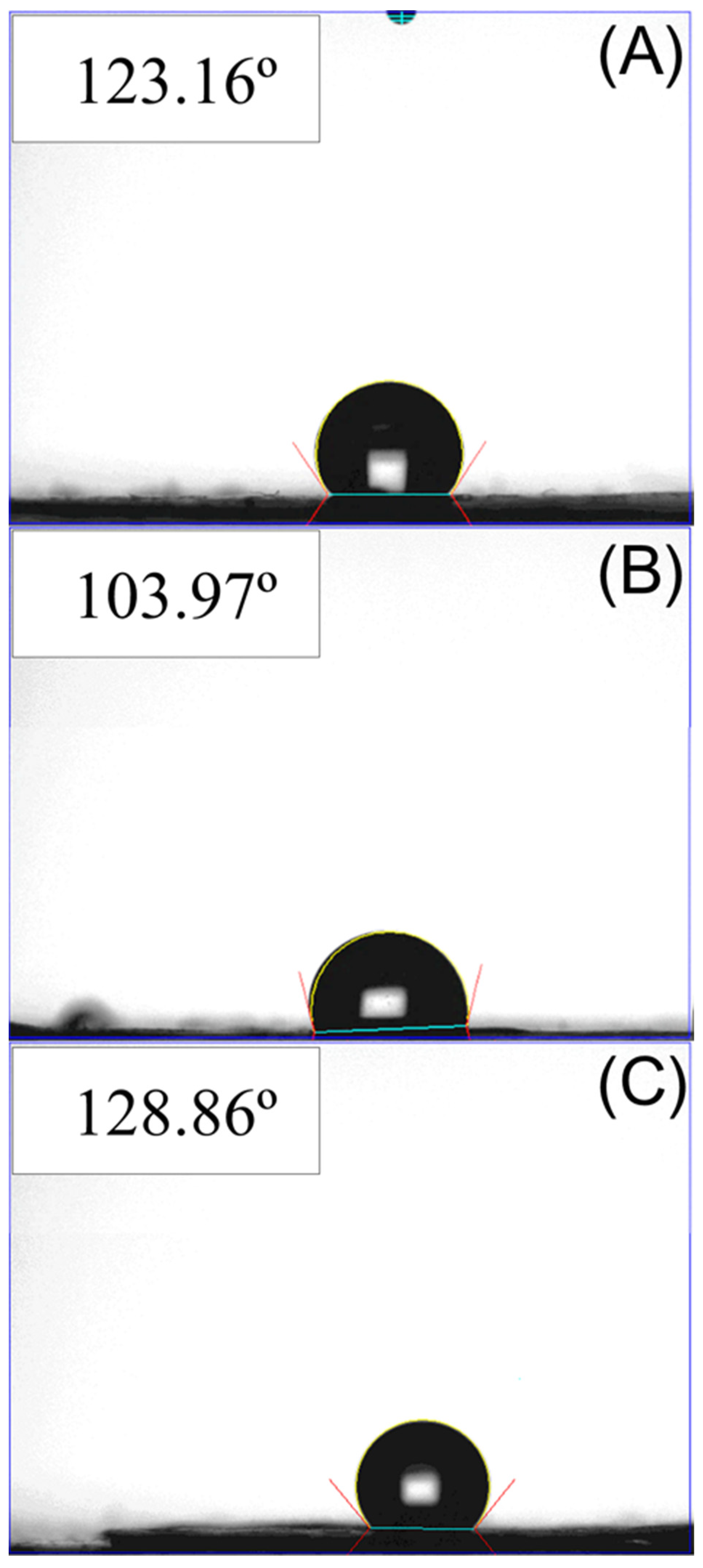 Pharmaceutics 14 00374 g007