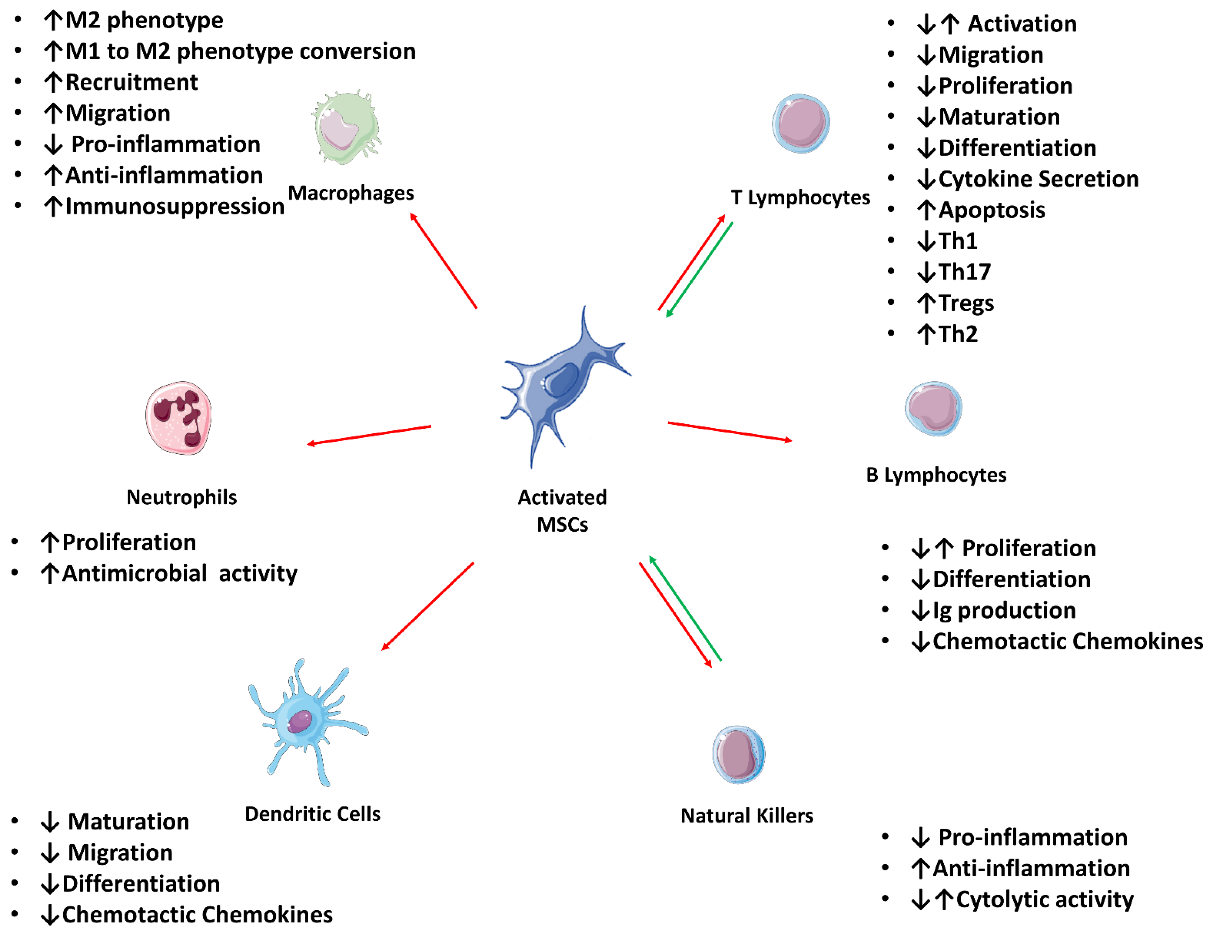 Pharmaceutics 14 00381 g002
