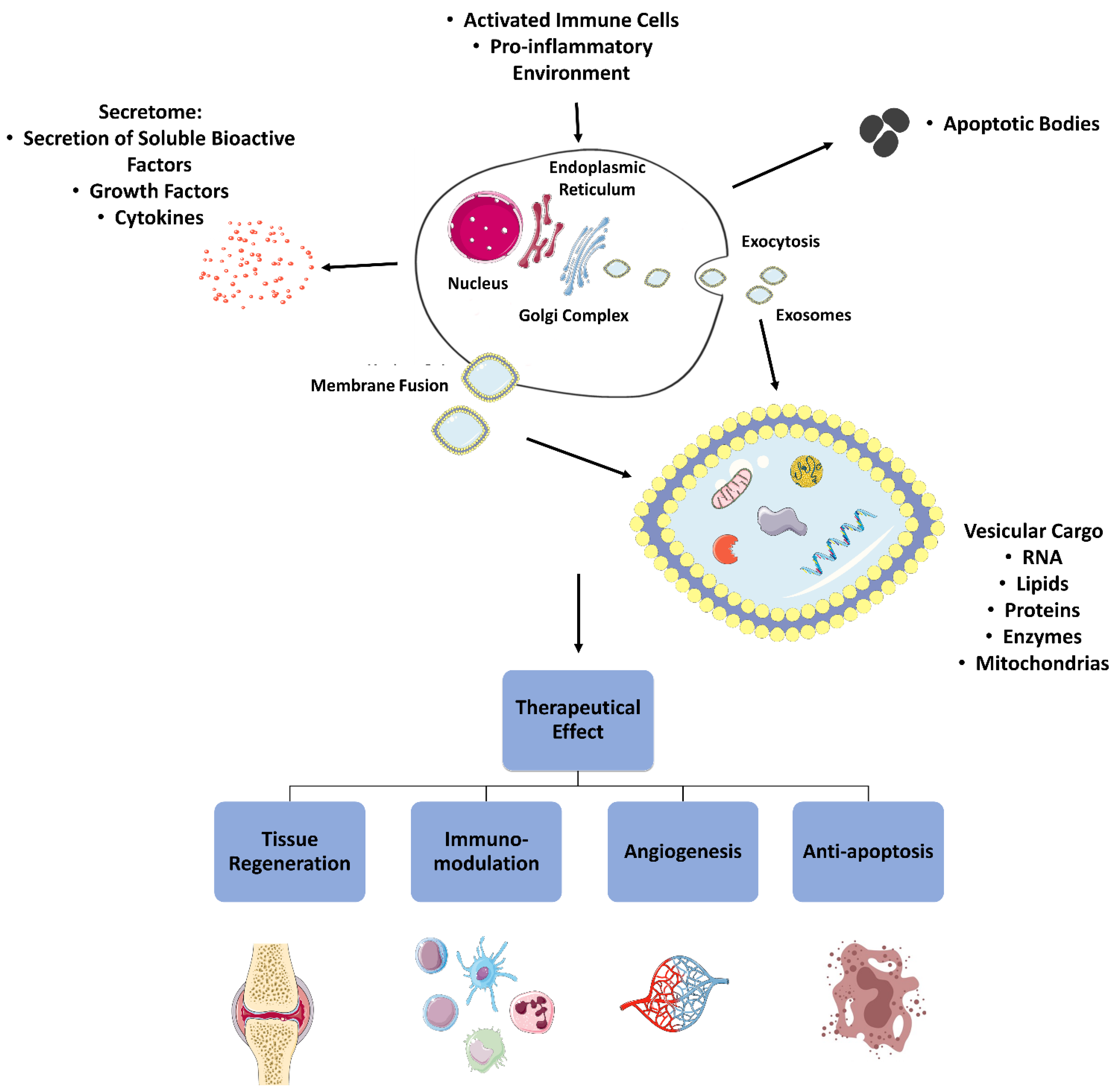 Pharmaceutics 14 00381 g003