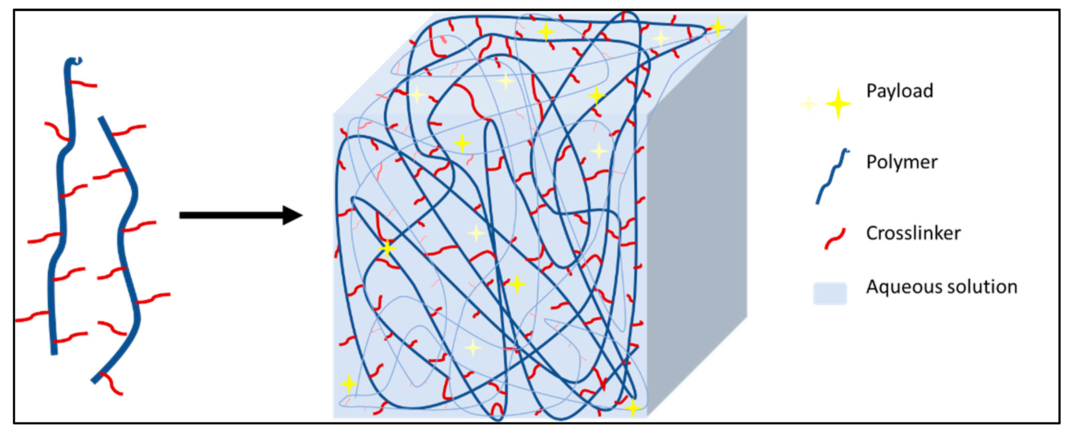 Pharmaceutics 14 00382 g006