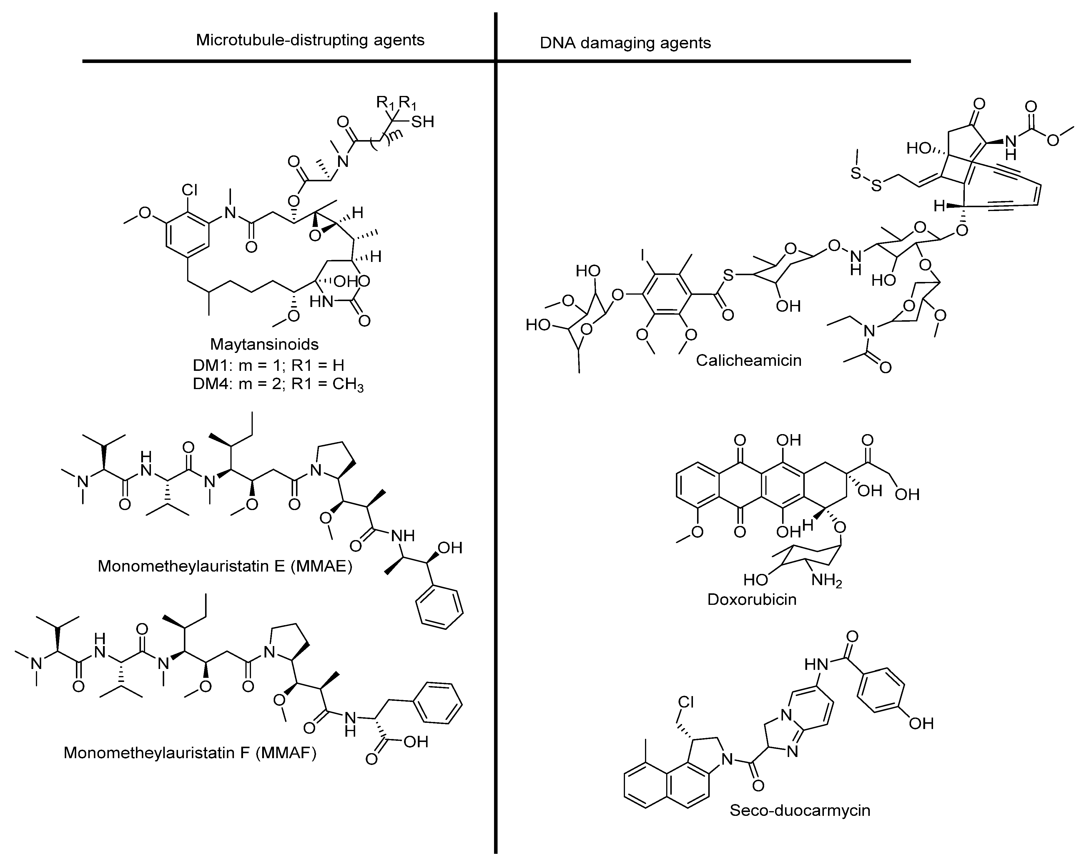 Pharmaceutics 14 00396 g002