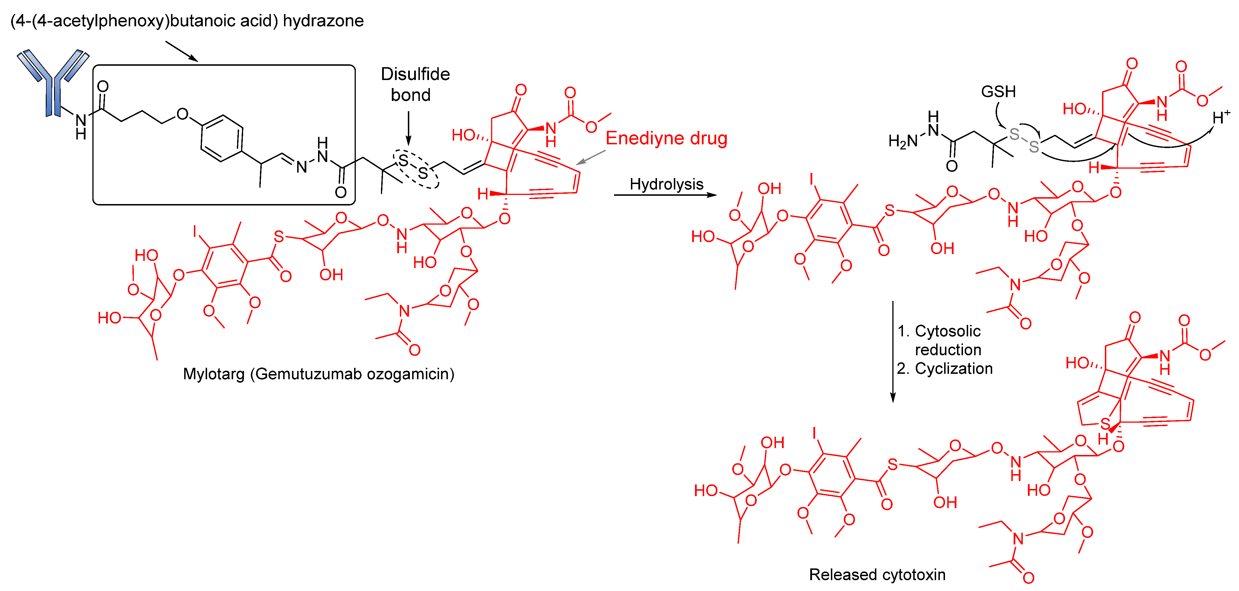 Pharmaceutics 14 00396 g005