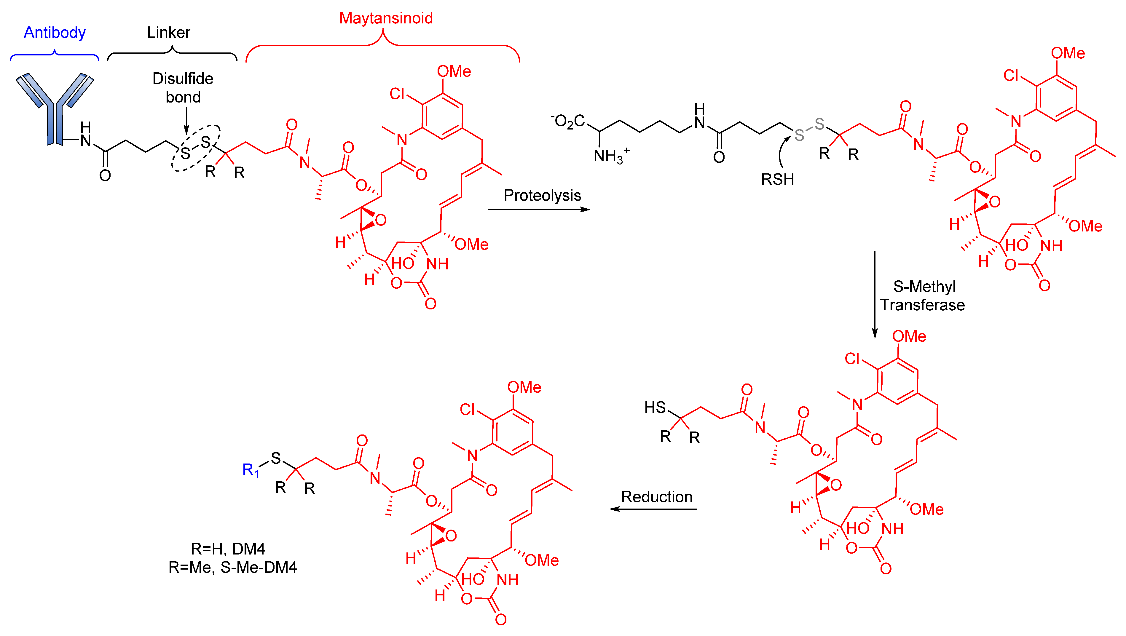 Pharmaceutics 14 00396 g006