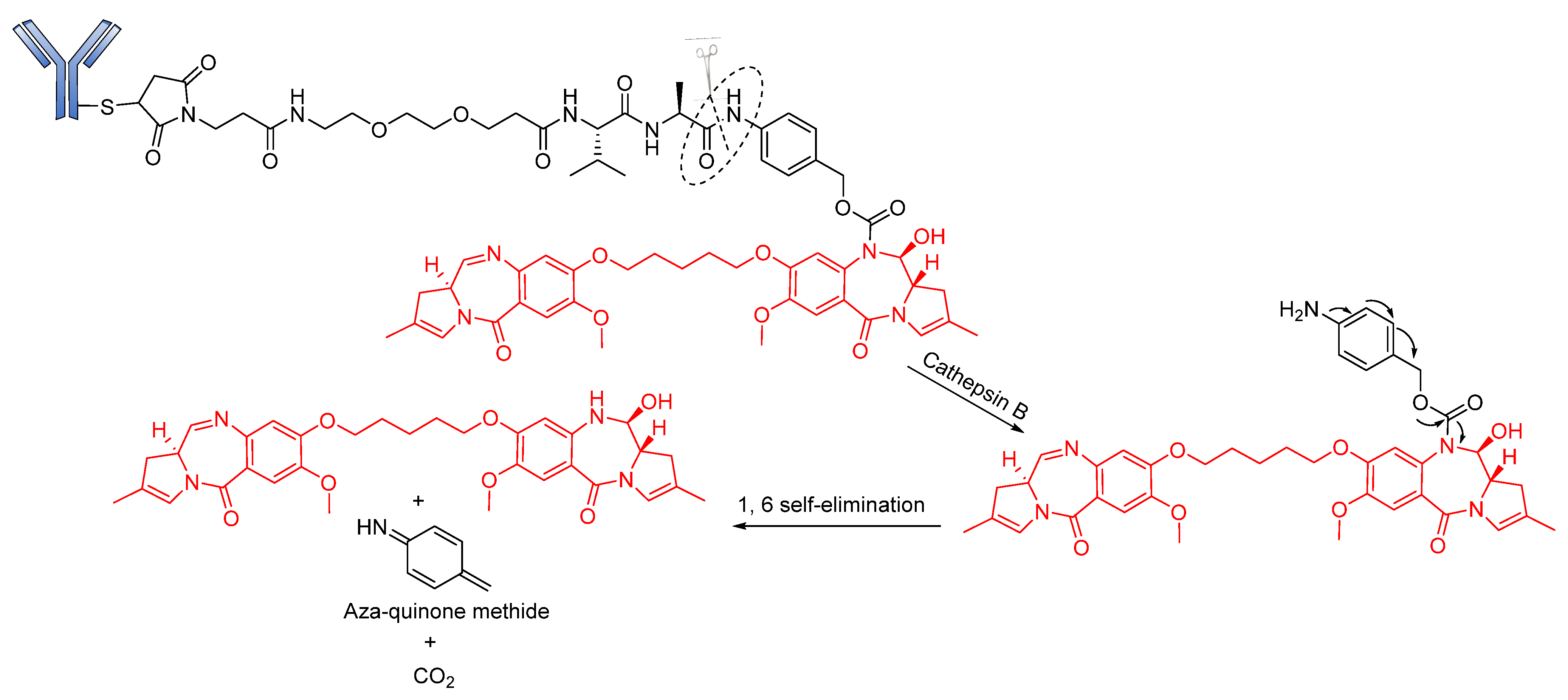 Pharmaceutics 14 00396 g010