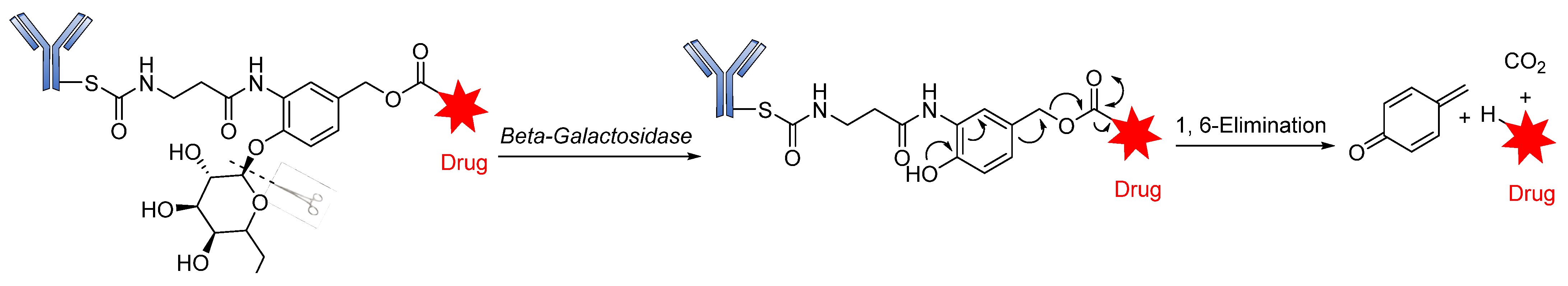 Pharmaceutics 14 00396 g013