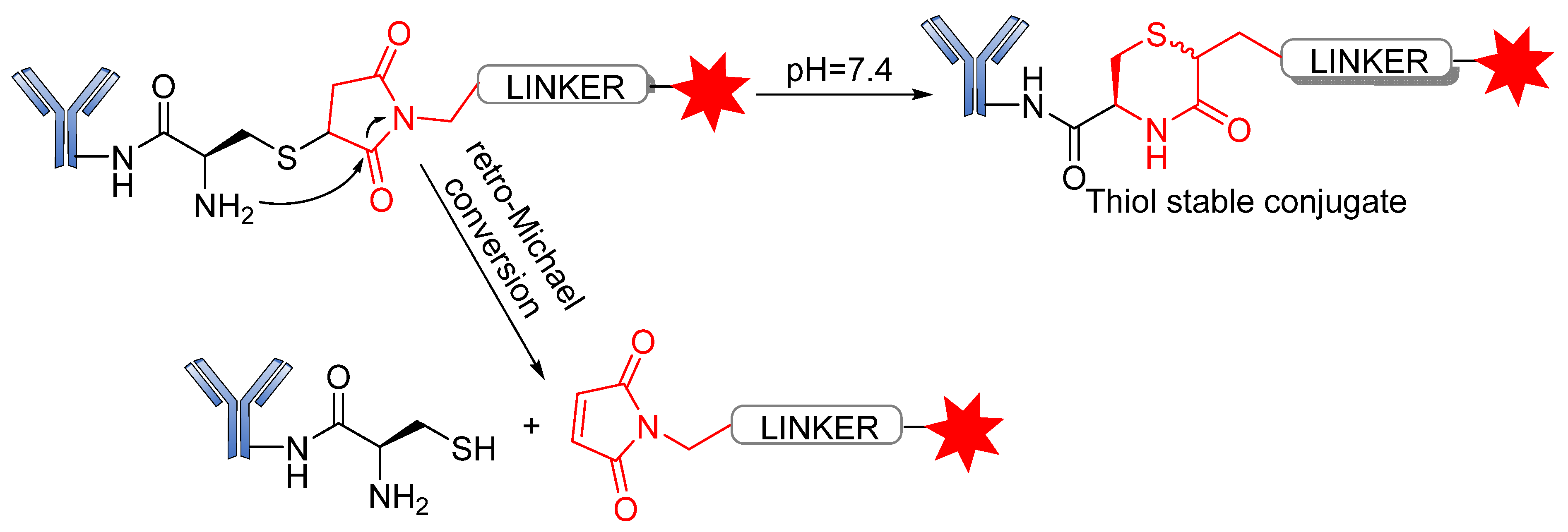 Pharmaceutics 14 00396 g020