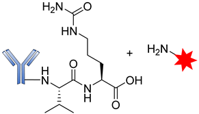 Pharmaceutics 14 00396 i009
