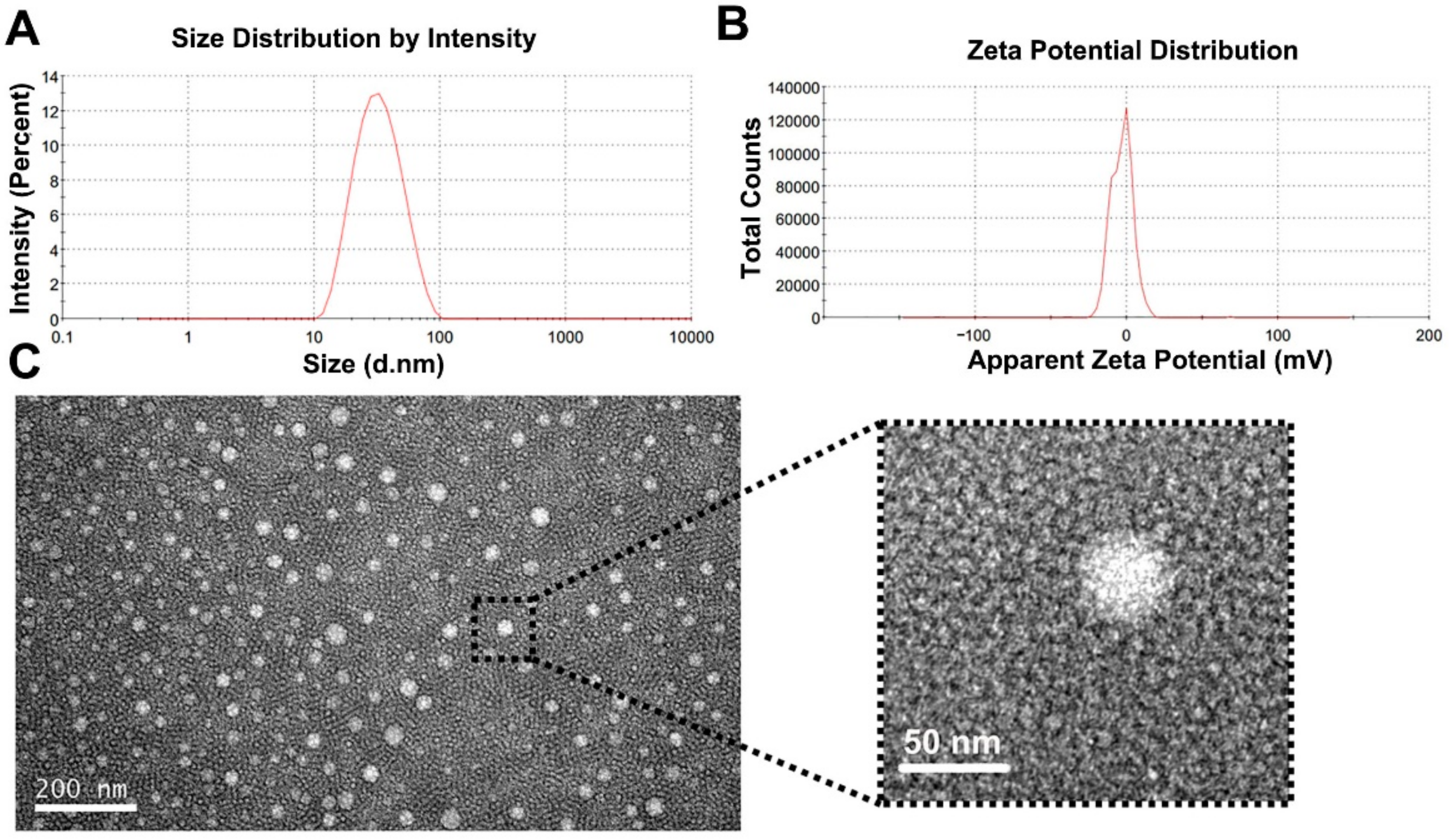 Pharmaceutics 14 00414 g003