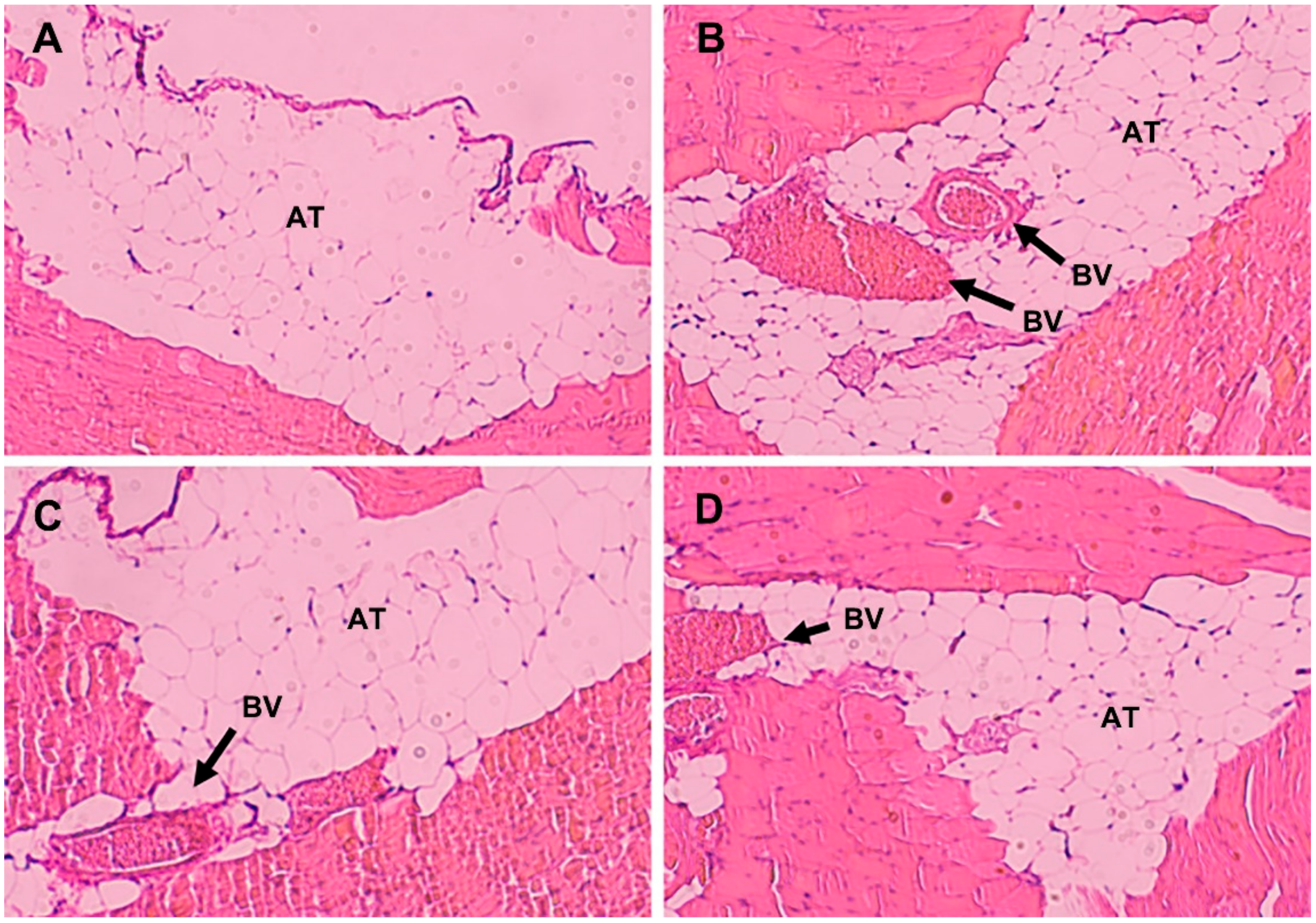 Pharmaceutics 14 00414 g005