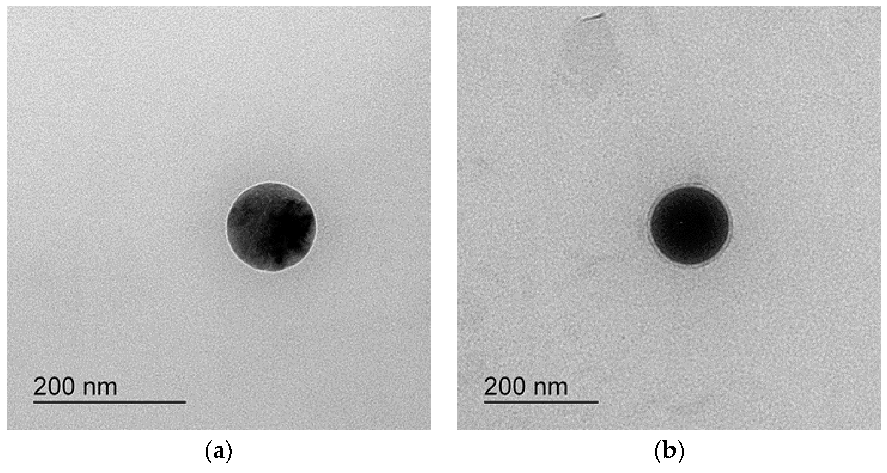 Pharmaceutics 14 00415 g003 Pharmaceutics 14 00415 g003