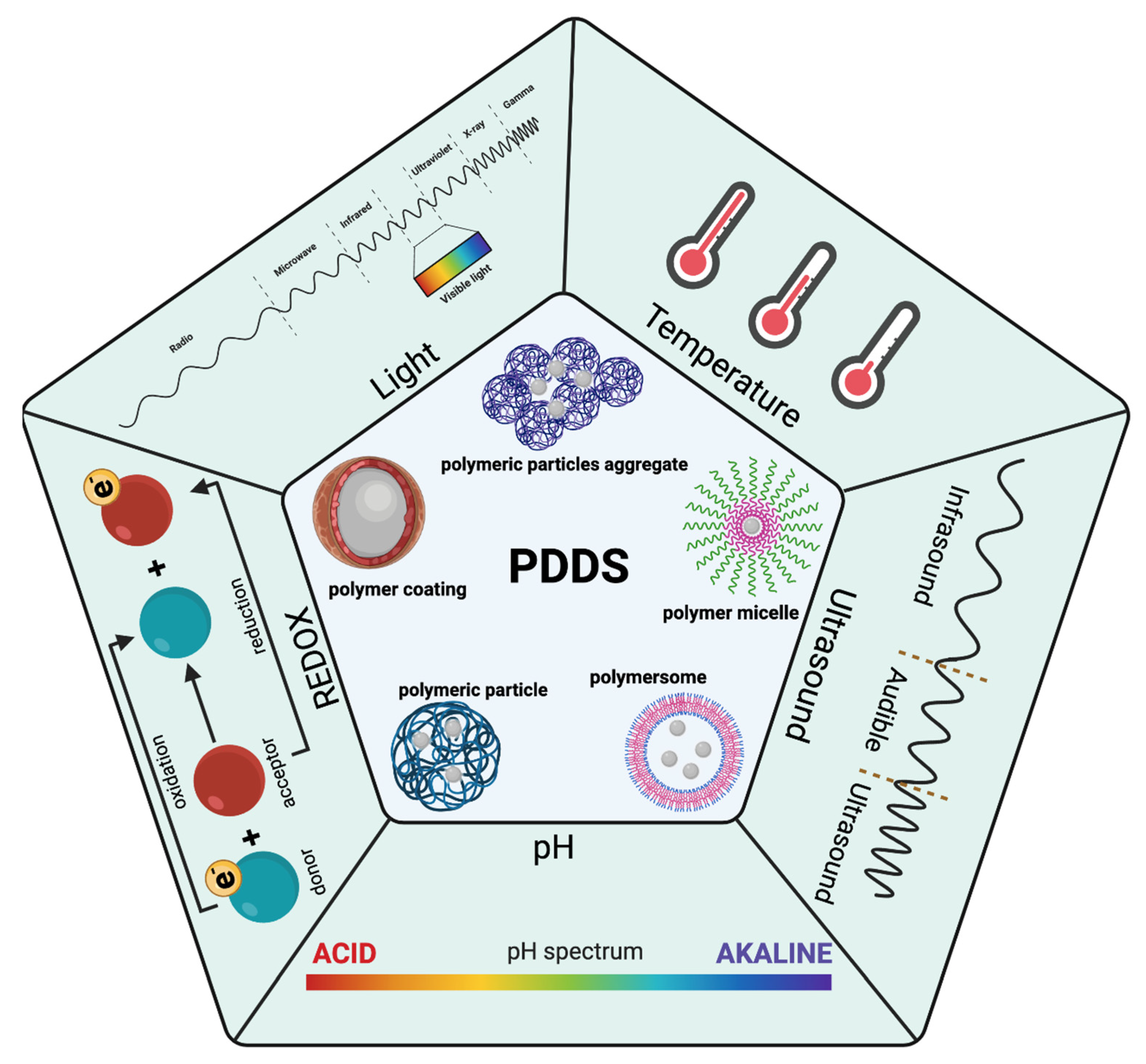 Pharmaceutics 14 00421 g001