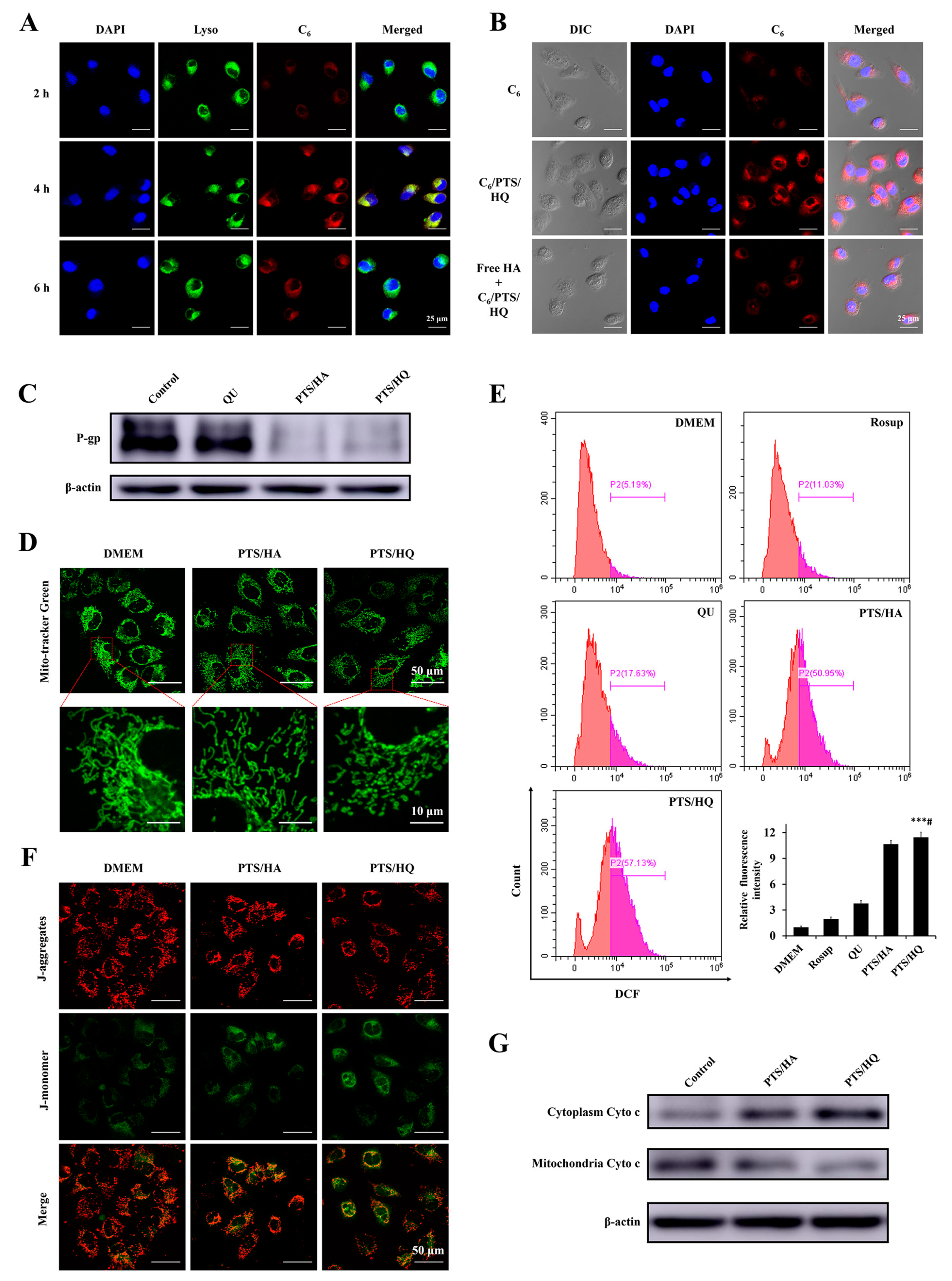 Pharmaceutics 14 00422 g005