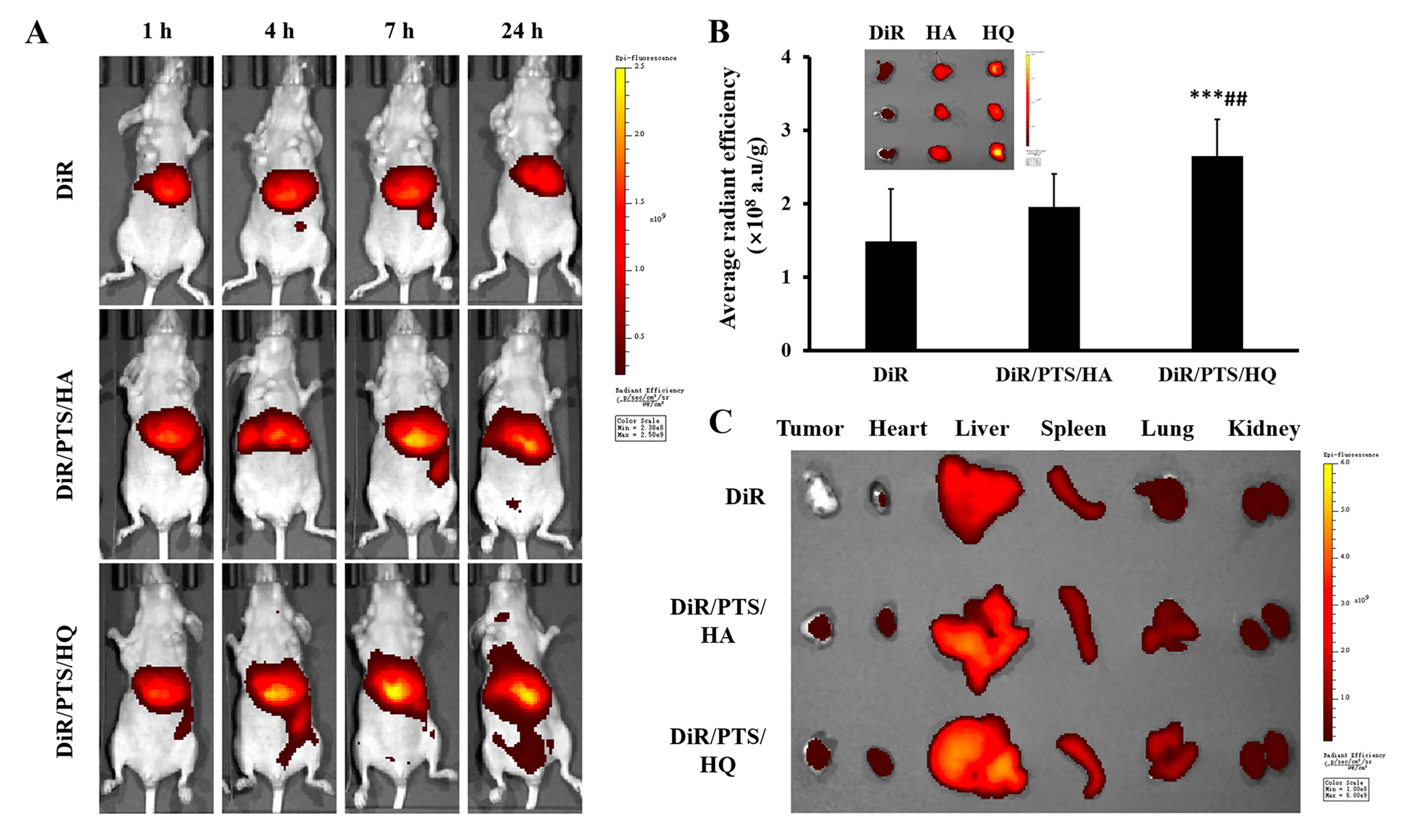 Pharmaceutics 14 00422 g006