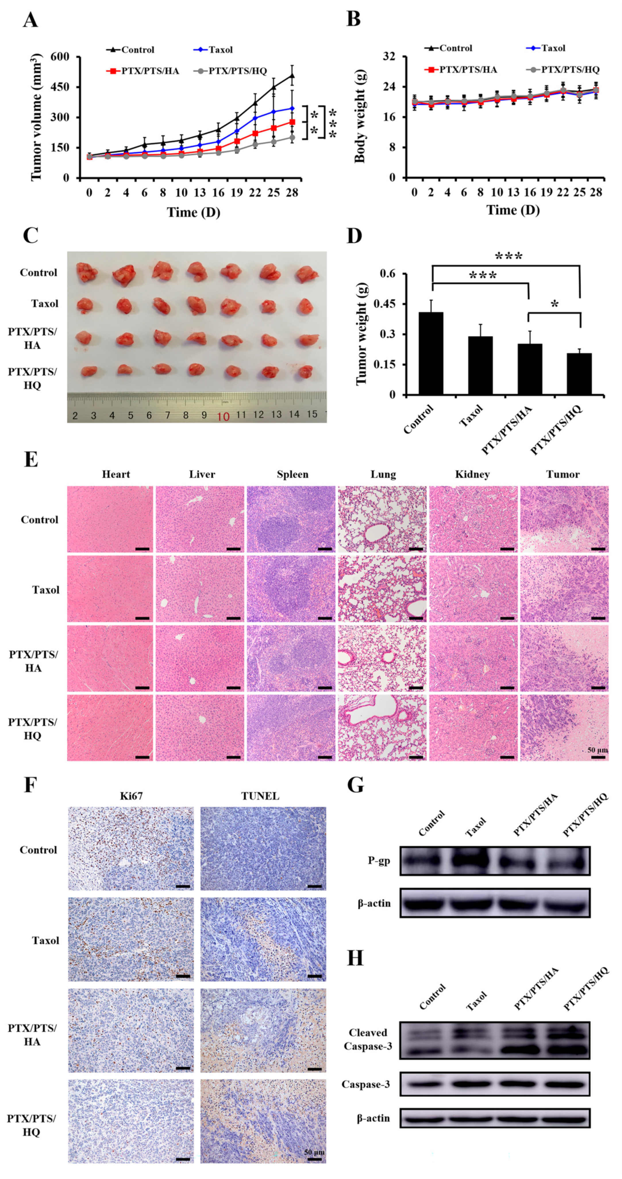 Pharmaceutics 14 00422 g007
